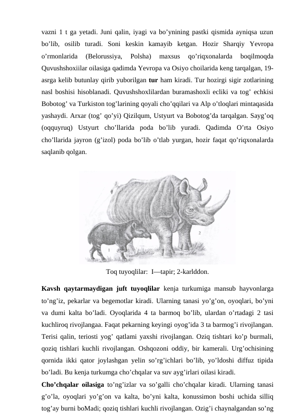 vazni 1 t ga yetadi. Juni qalin, iyagi va bo’ynining pastki qismida ayniqsa uzun
bo’lib,  osilib  turadi.  Soni  keskin  kamayib  ketgan.  Hozir  Sharqiy  Yevropa
o’rmonlarida  (Belorussiya,  Polsha)  maxsus  qo’riqxonalarda  boqilmoqda
Quvushshoxiilar oilasiga qadimda Yevropa va Osiyo choilarida keng tarqalgan, 19-
asrga kelib butunlay qirib yuborilgan tur ham kiradi. Tur hozirgi sigir zotlarining
nasl boshisi hisoblanadi. Quvushshoxlilardan buramashoxli ecliki va tog’ echkisi
Bobotog’ va Turkiston tog’larining qoyali cho’qqilari va Alp o’tloqlari mintaqasida
yashaydi. Arxar (tog’ qo’yi) Qizilqum, Ustyurt va Bobotog’da tarqalgan. Sayg’oq
(oqquyruq)  Ustyurt  cho’llarida  poda  bo’lib  yuradi.  Qadimda  O’rta  Osiyo
cho’llarida jayron (g’izol) poda bo’lib o’tlab yurgan, hozir faqat qo’riqxonalarda
saqlanib qolgan.
Toq tuyoqlilar:  I—tapir; 2-karlddon.
Kavsh qaytarmaydigan juft tuyoqlilar  kenja turkumiga mansub hayvonlarga
to’ng’iz, pekarlar va begemotlar kiradi. Ularning tanasi yo’g’on, oyoqlari, bo’yni
va dumi kalta bo’ladi. Oyoqlarida 4 ta barmoq bo’lib, ulardan o’rtadagi 2 tasi
kuchliroq rivojlangaa. Faqat pekarning keyingi oyog’ida 3 ta barmog’i rivojlangan.
Terisi qalin, teriosti yog’ qatlami yaxshi rivojlangan. Oziq tishtari ko’p burmali,
qoziq tishlari  kuchli rivojlangan. Oshqozoni oddiy, bir kamerali. Urg’ochisining
qornida ikki qator joylashgan yelin so’rg’ichlari bo’lib, yo’ldoshi diffuz tipida
bo’ladi. Bu kenja turkumga cho’chqalar va suv ayg’irlari oilasi kiradi.
Cho’chqalar oilasiga  to’ng’izlar va so’galli cho’chqalar kiradi. Ularning tanasi
g’o’la, oyoqlari yo’g’on va kalta, bo’yni kalta, konussimon boshi uchida silliq
tog’ay burni boMadi; qoziq tishlari kuchli rivojlangan. Ozig’i chaynalgandan so’ng
