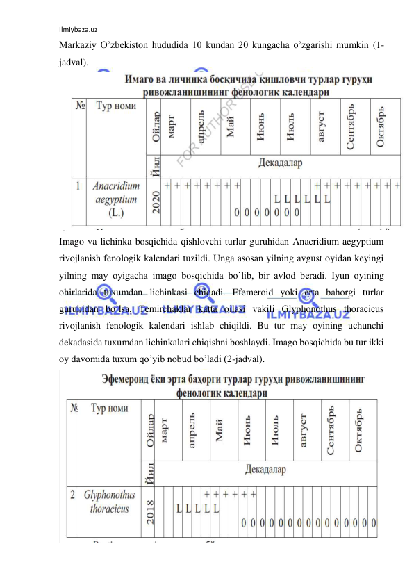 Ilmiybaza.uz 
 
Markaziy O’zbekiston hududida 10 kundan 20 kungacha o’zgarishi mumkin (1-
jadval).  
 
Imago va lichinka bosqichida qishlovchi turlar guruhidan Anacridium aegyptium 
rivojlanish fenologik kalendari tuzildi. Unga asosan yilning avgust oyidan keyingi 
yilning may oyigacha imago bosqichida bo’lib, bir avlod beradi. Iyun oyining 
ohirlarida tuxumdan lichinkasi chiqadi. Efemeroid yoki erta bahorgi turlar 
guruhidan bo’lsa, Temirchaklar katta oilasi vakili Glyphonothus thoracicus 
rivojlanish fenologik kalendari ishlab chiqildi. Bu tur may oyining uchunchi 
dekadasida tuxumdan lichinkalari chiqishni boshlaydi. Imago bosqichida bu tur ikki 
oy davomida tuxum qo’yib nobud bo’ladi (2-jadval).  
 
