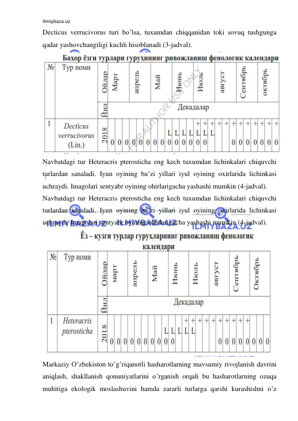 Ilmiybaza.uz 
 
Decticus verrucivorus turi bo’lsa, tuxumdan chiqqanidan toki sovuq tushgunga 
qadar yashovchangiligi kuchli hisoblanadi (3-jadval). 
 
Navbatdagi tur Heteracris pterosticha eng kech tuxumdan lichinkalari chiquvchi 
turlardan sanaladi. Iyun oyining ba’zi yillari iyul oyining oxirlarida lichinkasi 
uchraydi. Imagolari sentyabr oyining ohirlarigacha yashashi mumkin (4-jadval). 
Navbatdagi tur Heteracris pterosticha eng kech tuxumdan lichinkalari chiquvchi 
turlardan sanaladi. Iyun oyining ba’zi yillari iyul oyining oxirlarida lichinkasi 
uchraydi. Imagolari sentyabr oyining ohirlarigacha yashashi mumkin (4-jadval). 
 
Markaziy O’zbekiston to’g’riqanotli hasharotlarning mavsumiy rivojlanish davrini 
aniqlash, shakllanish qonuniyatlarini o’rganish orqali bu hasharotlarning ozuqa 
muhitiga ekologik moslashuvini hamda zararli turlarga qarshi kurashishni o’z 
