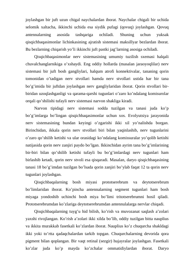 joylashgan bir juft uzun chigal naychalardan iborat. Naychalar chigali bir uchida
selomik xaltacha, ikkinchi uchida esa siydik pufagi (qovuq) joylashgan. Qovuq
antennalarning  asosida  tashqariga  ochiladi.  Shuning  uchun  yuksak
qisqichbaqasimonlar lichinkasining ajratish sistemasi maksillyar bezlardan iborat.
Bu bezlarning chiqarish yo’li ikkinchi juft pastki jag’larning asosiga ochiladi.
Qisqichbaqasimonlar  nerv  sistemasining  umumiy  tuzilish  sxemasi  halqali
chuvalchanglarnikiga o’xshaydi. Eng oddiy hollarda (masalan jaraoyoqlilar) nerv
sistemasi bir juft bosh gangliylari, halqum atrofi konnektivalar, tananing qorin
tomonidan  o’tadigan  nerv  stvollari  hamda  nerv  stvollari  ustida  har  bir  tana
bo’g’imida bir juftdan joylashgan nerv gangliylaridan iborat. Qorin stvollari bir-
biridan uzoqlashganligi va qarama-qarshi tugunlari o’zaro ko’ndalang komisurolar
orqali qo’shilishi tufayli nerv sistemasi narvon shakliga kiradi.
Narvon  tipidagi  nerv  sistemasi  sodda  tuzilgan  va  tanasi  juda  ko’p
bo’g’imlarga bo’lingan qisqichbaqasimonlar uchun xos. Evolyutsiya jarayonida
nerv  sistemasining  bundan  keyingi  o’zgarishi  ikki  xil  yo’nalishda  borgan.
Birinchidan, ikkala qorin nerv stvollari biri bilan yaqinlashib, nerv tugunlarini
o’zaro qo’shilib ketishi va ular orasidagi ko’ndalang komissuralar yo’qolib ketishi
natijasida qorin nerv zanjiri paydo bo’lgan. Ikkinchidan ayrim tana bo’g’imlarining
bir-biri  bilan  qo’shilib  ketishi  tufayli  bu  bo’g’imlardagi  nerv  tugunlari  ham
birlashib ketadi, qorin nerv stvoli esa qisqaradi. Masalan, daryo qisqichbaqasining
tanasi 18 bo’g’imdan tuzilgan bo’lsada qorin zanjiri bo’ylab faqat 12 ta qorin nerv
tugunlari joylashgan.
Qisqichbaqalarning  bosh  miyasi  prototserebrum  va  deytotserebrum
bo’limlaridan  iborat.  Ko’pincha  antennalarning  segment  tugunlari  ham  bosh
miyaga  yondoshib  uchinchi  bosh  miya  bo’limi  tritotserebrumni  hosil  qiladi.
Prototserebrumdan ko’zlariga deytotserebrumdan antennulalarga nervlar chiqadi.
Qisqichbaqalarning tuyg’u hid bilish, ko’rish va muvozanat saqlash a’zolari
yaxshi rivojlangan. Ko’rish a’zolari ikki xilda bo’lib, oddiy tuzilgan bitta nauplius
va ikkita murakkab fasetkali ko’zlardan iborat. Nauplius ko’z chuqurcha shakldagi
ikki yoki to’rtta qadaqchalardan tarkib topgan. Chuqurchalarning devorida qora
pigment bilan qoplangan. Bir vaqt retinal (sezgir) hujayralar joylashgan. Fasetkali
ko’zlar  juda  ko’p  mayda  ko’zchalar  ommatidiylardan  iborat.  Daryo
