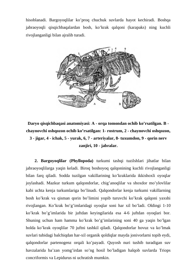 hisoblanadi.  Bargoyoqlilar  ko’proq  chuchuk  suvlarda  hayot  kechiradi.  Boshqa
jabraoyoqli  qisqichbaqalardan  bosh,  ko’krak  qalqoni  (karapaks)  ning  kuchli
rivojlanganligi bilan ajralib turadi. 
Daryo qisqichbaqasi anatomiyasi: A - orqa tomondan ochib ko’rsatilgan. В -
chaynovchi oshqozon ochib ko’rsatilgan: 1- rostrum, 2 - chaynovchi oshqozon,
3 - jigar, 4 - ichak, 5 - yurak, 6, 7 - arteriyalar, 8- tuxumdon, 9 - qorin nerv
zanjiri, 10 - jabralar.
2.  Bargoyoqlilar  (Phyllopoda) turkumi  tashqi  tuzilshlari  jihatlar  bilan
jabraoyoqlilarga yaqin keladi. Biroq boshoyoq qalqonining kuchli rivojlanganligi
bilan farq qiladi. Sodda tuzilgan vakillarining ko’kraklarida ikkishoxli oyoqlar
joylashadi. Mazkur turkum qalqondorlar, chig’anoqlilar va shoxdor mo’ylovlilar
kabi uchta kenja turkumlariga bo’linadi. Qalqondorlar kenja turkumi vakillarning
bosh ko’krak va qisman qorin bo’limini yopib turuvchi ko’krak qalqoni yaxshi
rivojlangan. Ko’krak bo’g’imlaridagi oyoqlar soni har xil bo’ladi. Oldingi 1-10
ko’krak  bo’g’imlarida  bir  juftdan  keyingilarida  esa  4-6  juftdan  oyoqlari  bor.
Shuning uchun ham hamma ko’krak bo’g’imlarining soni 40 ga yaqin bo’lgan
holda ko’krak oyoqlilar 70 juftni tashkil qiladi. Qalqondorlar hovuz va ko’lmak
suvlari tubidagi balchiqdan har-xil organik qoldiqlar mayda jonivorlarni topib eydi,
qalqondorlar  partenogenz  orqali  ko’payadi.  Quyosh  nuri  tushib  turadigan  suv
havzalarida ba’zan yomg’irdan so’ng hosil  bo’ladigan halqob  suvlarda Triops
concriformis va Lepidurus ni uchratish mumkin.
