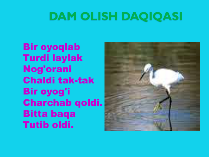 DAM OLISH DAQIQASI
Bir oyoqlab
Turdi laylak
Nog'orani
Chaldi tak-tak
Bir oyog'i
Charchab qoldi.
Bitta baqa
Tutib oldi.
