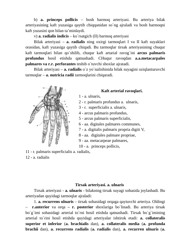 b)  a.  princeps  pollicis –  bosh  barmoq  arteriyasi.  Bu  arteriya  bilak
arteriyasining kaft yuzasiga qaytib chiqqanidan so`ng ajraladi va bosh barmoqni
kaft yuzasini qon bilan ta’minlaydi.
v) a. radialis indicis – ko`rsatgich (II) barmoq arteriyasi 
Bilak arteriyasi –  a. radialis ning oxirgi tarmoqlari I va II kaft suyaklari
orasidan, kaft yuzasiga qaytib chiqadi. Bu tarmoqlar tirsak arteriyasining chuqur
kaft  tarmoqlari  bilan  qo`shilib, chuqur  kaft  artarial  ravog`ini  arcus palmaris
profundus  hosil  etishda  qatnashadi.  CHuqur  ravoqdan  a.a.metacarpales
palmares va r.r. perforantes teshib o`tuvchi shoxlar ajratadi. 
Bilak arteriyasi – a. radialis o`z yo`nalishinida bilak suyagini oziqlanturuvchi
tarmoqlar – a. nutricia radii tarmoqlarini chiqaradi.
 
Kaft arterial ravoqlari.
1 - a. ulnaris, 
2 - r. palmaris profundus a.  ulnaris,  
3 - r.  superficialis a. ulnaris, 
4 - arcus palmaris profundus, 
5 - arcus palmaris superficialis, 
6 - aa. digitales palmares communes,  
7 - a. digitalis palmaris propria digiti V,  
8 - aa.  digitales palmare propriae, 
9 - aa. metacarpeae palmares,  
10 - a.  princeps pollicis, 
11 - r. palmaris superficialis a. radialis, 
12 - a. radialis 
Tirsak arteriyasi. a. ulnaris
Tirsak arteriyasi - a. ulnaris - bilakning tirsak suyagi sohasida joylashadi. Bu
arteriyadan quyidagi tarmoqlar ajraladi: 
1. a. recurrens ulnaris – tirsak sohasidagi orqaga qaytuvchi arteriya. Oldingi
–  r.anterior va orqa – r. posterior  shoxlariga bo`linadi. Bu arteriya tirsak
bo`g`imi sohasidagi arterial to`rni hosil etishda qatnashadi. Tirsak bo`g`imining
arterial  to`rini  hosil  etishda  quyidagi  arteriyalar  ishtirok etadi:  a. collateralis
superior et inferior (a. brachialis dan),  a. collateralis media (a. profunda
brachii dan),  a. recurrens radialis (a. radialis dan),  a. recurren ulnaris  (a.
