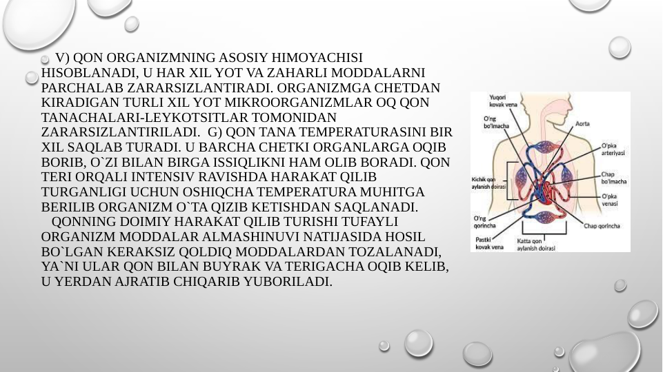     V) QON ORGANIZMNING ASOSIY HIMOYACHISI 
HISOBLANADI, U HAR XIL YOT VA ZAHARLI MODDALARNI 
PARCHALAB ZARARSIZLANTIRADI. ORGANIZMGA CHETDAN 
KIRADIGAN TURLI XIL YOT MIKROORGANIZMLAR OQ QON 
TANACHALARI-LEYKOTSITLAR TOMONIDAN 
ZARARSIZLANTIRILADI.  G) QON TANA TEMPERATURASINI BIR 
XIL SAQLAB TURADI. U BARCHA CHETKI ORGANLARGA OQIB 
BORIB, O`ZI BILAN BIRGA ISSIQLIKNI HAM OLIB BORADI. QON 
TERI ORQALI INTENSIV RAVISHDA HARAKAT QILIB 
TURGANLIGI UCHUN OSHIQCHA TEMPERATURA MUHITGA 
BERILIB ORGANIZM O`TA QIZIB KETISHDAN SAQLANADI.
   QONNING DOIMIY HARAKAT QILIB TURISHI TUFAYLI 
ORGANIZM MODDALAR ALMASHINUVI NATIJASIDA HOSIL 
BO`LGAN KERAKSIZ QOLDIQ MODDALARDAN TOZALANADI, 
YA`NI ULAR QON BILAN BUYRAK VA TERIGACHA OQIB KELIB, 
U YERDAN AJRATIB CHIQARIB YUBORILADI.  
