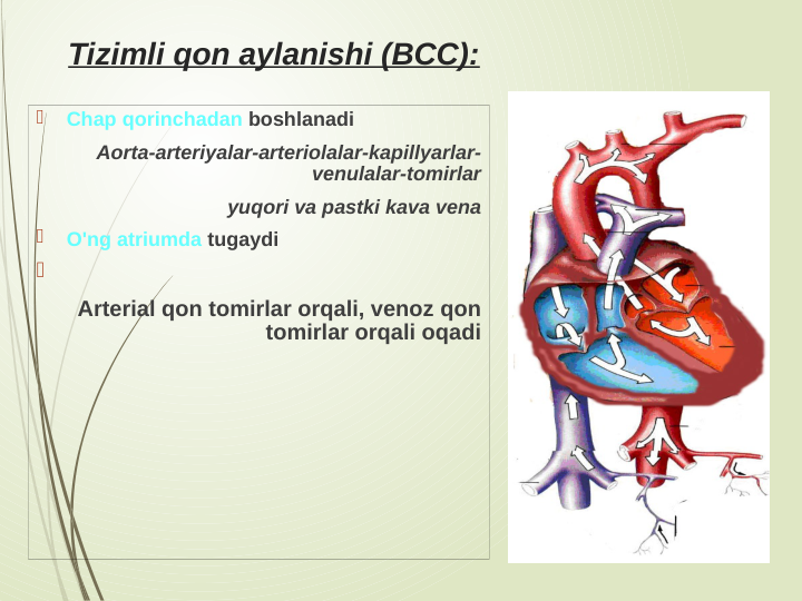 Tizimli qon aylanishi (BCC):

Chap qorinchadan boshlanadi
Aorta-arteriyalar-arteriolalar-kapillyarlar-
venulalar-tomirlar
yuqori va pastki kava vena

O'ng atriumda tugaydi

 
Arterial qon tomirlar orqali, venoz qon 
tomirlar orqali oqadi
