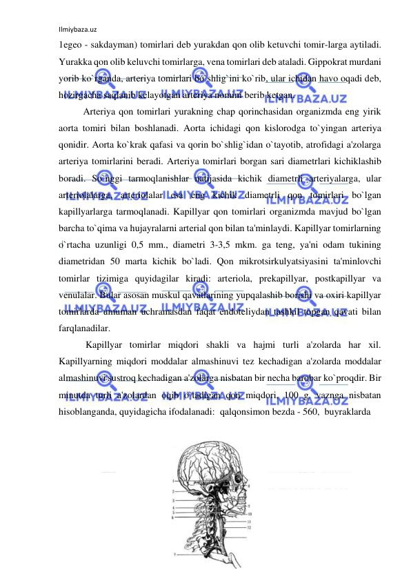 Ilmiybaza.uz 
 
1egeo - sakdayman) tomirlari deb yurakdan qon olib ketuvchi tomir-larga aytiladi. 
Yurakka qon olib keluvchi tomirlarga, vena tomirlari deb ataladi. Gippokrat murdani 
yorib ko`rganda, arteriya tomirlari bo`shlig`ini ko`rib, ular ichidan havo oqadi deb, 
hozirgacha saqlanib kelayotgan arteriya nomini berib ketgan. 
 
Arteriya qon tomirlari yurakning chap qorinchasidan organizmda eng yirik 
aorta tomiri bilan boshlanadi. Aorta ichidagi qon kislorodga to`yingan arteriya 
qonidir. Aorta ko`krak qafasi va qorin bo`shlig`idan o`tayotib, atrofidagi a'zolarga 
arteriya tomirlarini beradi. Arteriya tomirlari borgan sari diametrlari kichiklashib 
boradi. So`nggi tarmoqlanishlar natijasida kichik diametrli arteriyalarga, ular 
arteriolalarga, arteriolalar esa eng kichik diametrli qon tomirlari bo`lgan 
kapillyarlarga tarmoqlanadi. Kapillyar qon tomirlari organizmda mavjud bo`lgan 
barcha to`qima va hujayralarni arterial qon bilan ta'minlaydi. Kapillyar tomirlarning 
o`rtacha uzunligi 0,5 mm., diametri 3-3,5 mkm. ga teng, ya'ni odam tukining 
diametridan 50 marta kichik bo`ladi. Qon mikrotsirkulyatsiyasini ta'minlovchi 
tomirlar tizimiga quyidagilar kiradi: arteriola, prekapillyar, postkapillyar va 
venulalar. Bular asosan muskul qavatlarining yupqalashib borishi va oxiri kapillyar 
tomirlarda umuman uchramasdan faqat endoteliydan tashkil topgan qavati bilan 
farqlanadilar. 
 
 Kapillyar tomirlar miqdori shakli va hajmi turli a'zolarda har xil. 
Kapillyarning miqdori moddalar almashinuvi tez kechadigan a'zolarda moddalar 
almashinuvi sustroq kechadigan a'zolarga nisbatan bir necha barobar ko`proqdir. Bir 
minutda turli a'zolardan oqib o`tadigan qon miqdori, 100 g. vaznga nisbatan 
hisoblanganda, quyidagicha ifodalanadi:  qalqonsimon bezda - 560,  buyraklarda  
 
 
 
 
 
 
 
