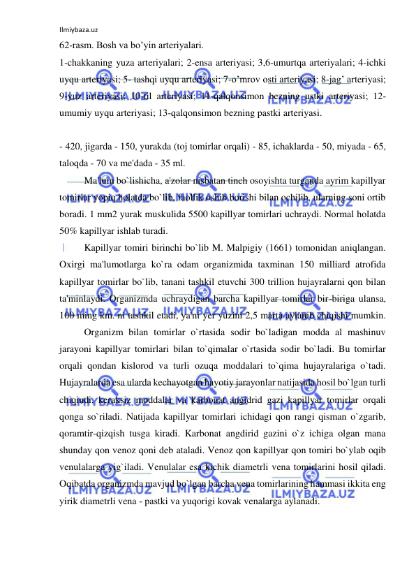 Ilmiybaza.uz 
 
62-rasm. Bosh va bo’yin arteriyalari.  
1-chakkaning yuza arteriyalari; 2-ensa arteriyasi; 3,6-umurtqa arteriyalari; 4-ichki 
uyqu arteriyasi; 5- tashqi uyqu arteriyasi; 7-o’mrov osti arteriyasi; 8-jag’ arteriyasi; 
9-yuz arteriyasi; 10-til arteriyasi; 11-qalqonsimon bezning ustki arteriyasi; 12-
umumiy uyqu arteriyasi; 13-qalqonsimon bezning pastki arteriyasi.  
 
- 420, jigarda - 150, yurakda (toj tomirlar orqali) - 85, ichaklarda - 50, miyada - 65, 
taloqda - 70 va me'dada - 35 ml. 
 
Ma'lum bo`lishicha, a'zolar nisbatan tinch osoyishta turganda ayrim kapillyar 
tomirlar yopiq holatda bo`lib, faollik oshib borishi bilan ochilib, ularning soni ortib 
boradi. 1 mm2 yurak muskulida 5500 kapillyar tomirlari uchraydi. Normal holatda 
50% kapillyar ishlab turadi.  
 
Kapillyar tomiri birinchi bo`lib M. Malpigiy (1661) tomonidan aniqlangan. 
Oxirgi ma'lumotlarga ko`ra odam organizmida taxminan 150 milliard atrofida 
kapillyar tomirlar bo`lib, tanani tashkil etuvchi 300 trillion hujayralarni qon bilan 
ta'minlaydi. Organizmda uchraydigan barcha kapillyar tomirlar bir-biriga ulansa, 
100 ming km. ni tashkil etadi, ya'ni yer yuzini 2,5 marta aylanib chiqishi mumkin. 
 
Organizm bilan tomirlar o`rtasida sodir bo`ladigan modda al mashinuv 
jarayoni kapillyar tomirlari bilan to`qimalar o`rtasida sodir bo`ladi. Bu tomirlar 
orqali qondan kislorod va turli ozuqa moddalari to`qima hujayralariga o`tadi. 
Hujayralarda esa ularda kechayotgan hayotiy jarayonlar natijasida hosil bo`lgan turli 
chiqindi, keraksiz moddalar va karbonat angidrid gazi kapillyar tomirlar orqali 
qonga so`riladi. Natijada kapillyar tomirlari ichidagi qon rangi qisman o`zgarib, 
qoramtir-qizqish tusga kiradi. Karbonat angdirid gazini o`z ichiga olgan mana 
shunday qon venoz qoni deb ataladi. Venoz qon kapillyar qon tomiri bo`ylab oqib 
venulalarga yig`iladi. Venulalar esa kichik diametrli vena tomirlarini hosil qiladi. 
Oqibatda organizmda mavjud bo`lgan barcha vena tomirlarining hammasi ikkita eng 
yirik diametrli vena - pastki va yuqorigi kovak venalarga aylanadi. 
