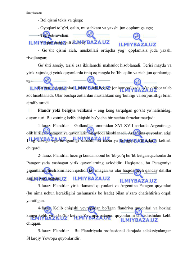 ilmiybaza.uz 
 
- Bel qismi tekis va qisqa; 
- Oyoqlari to’g’ri, qalin, mustahkam va yaxshi jun qoplamiga ega; 
- Tez yetiluvchan; 
- Yuqori energiyali o’sishi; 
- Go’sht qismi zich, muskullari ortiqcha yog’ qoplamisiz juda yaxshi 
rivojlangan; 
Go’shti asosiy, terisi esa ikkilamchi mahsulot hisoblanadi. Terisi mayda va 
yirik xajmdagi yetuk quyonlarda tiniq oq rangda bo’lib, qalin va zich jun qoplamiga 
ega.  
Bu zotdagi quyonlar – odatda juda beozor jonivor bo’lsada, o’ta e’tibor talab 
zot hisoblanadi. Ular boshqa zotlardan mustahkam sog’lomligi va serpushtligi bilan 
ajralib turadi. 
Flandr yoki belgiya velikani – eng keng tarqalgan go’sht yo’nalishidagi 
quyon turi. Bu zotning kelib chiqishi bo’yicha bir nechta farazlar mavjud:  
1-faraz: Flandrlar – Gollandlar tomonidan XVI-XVII asrlarda Argentinaga 
olib kirilgan patagoniya quyonlarining avlodi hisoblanadi. Argentina quyonlari atigi 
1 kg vaznga ega bo’lganligi sababli, bu nazariya ko’pgina e’tirozlarni keltirib 
chiqardi.  
2- faraz: Flandrlar hozirgi kunda nobud bo’lib yo’q bo’lib ketgan qachonlardir 
Patagoniyada yashagan yirik quyonlarning avlodidir. Haqiqatda, bu Patagoniya 
gigantlarini hech kim hech qachon ko’rmagan va ular haqida hech qanday dalillar 
saqlanib qolmagan.  
3-faraz: Flandrlar yirik flamand quyonlari va Argentina Patagon quyonlari 
(bu nima uchun kerakligini tushunarsiz bo’lsada) bilan o’zaro chatishtirish orqali 
yaratilgan.  
4-faraz: Kelib chiqishi yevropadan bo’lgan flandriya quyonlari va hozirgi 
kunga kelib yo’q bo’lib ketgan Yevropa patagon quyonlarini chatishishidan kelib 
chiqqan. 
5-faraz: Flandrlar – Bu Flandriyada professional darajada selektsiyalangan 
SHarqiy Yevropa quyonlaridir.  
