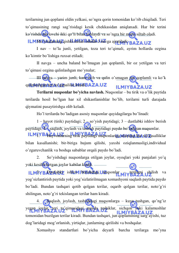  
 
terilarning jun qoplami oldin yelkasi, so’ngra qorin tomonidan ko’rib chiqiladi. Teri 
to’qimasining rangi sag’risidagi kesik chekkasidan aniqlanadi. Har bir terini 
ko’rishda navlovchi ikki qo’li bilan ushlaydi va so’ngra bir marta siltab oladi. 
Mo’ynalarning qishki turlari odatda 3 navga ajratiladi: 
I nav – to’la junli, yetilgan, toza teri to’qimali, ayrim hollarda ozgina 
ko’kimtir bo’lishiga ruxsat etiladi; 
II navga – uncha baland bo’lmagan jun qoplamli, bir oz yetilgan va teri 
to’qimasi ozgina qalinlashgan mo’ynalar; 
III navga – yarim junli, kam zich va qalin o’smagan jun qoplamli va ko’k 
qalinlashgan teri to’qimalilar kiradi. 
Terilarni nuqsonlar bo’yicha navlash. Nuqsonlar – bu tirik va o’lik paytida 
terilarda hosil bo’lgan har xil shikastlanishlar bo’lib, terilarni turli darajada 
qiymatini pasaytirishga olib keladi. 
Ho’l terilarda bo’ladigan asosiy nuqsonlar quyidagilarga bo’linadi: 
1 – hayot (tirik) paytidagi; 2 – so’yish paytidagi; 3 – dastlabki ishlov berish 
paytidagi; 4 – saqlash, joylash va tashish paytidagi paydo bo’ladigan nuqsonlar. 
1. 
Hayvonlarning tirik paytidagi nuqsonlariga ularning har xil kasalliklar 
bilan kasallanishi; bir-biriga hujum qilishi, yaxshi oziqlanmasligi,individual 
o’zgaruvchanlik va boshqa sabablar orqali paydo bo’ladi. 
2. 
So’yishdagi nuqsonlarga otilgan joylar, oyoqlari yoki panjalari yo’q 
yoki kesilib ketgan joylar kabilar kiradi. 
3. 
Dastlabki ishlov berishdagi nuqsonlar – terilarni shilish va 
yog’sizlantirish paytida yoki yog’sizlatirilmagan xomashyoni saqlash paytida paydo 
bo’ladi. Bundan tashqari qotib qolgan terilar, oqarib qolgan terilar, noto’g’ri 
shilingan, noto’g’ri tekislangan terilar ham kiradi. 
4. 
Saqlash, joylash, tashishdagi nuqsonlarga – kuya tushgan, qo’ng’iz 
yegan joylar, teri to’qimasidagi mayda teshiklar, sichqon yoki kalamushlar 
tomonidan buzilgan terilar kiradi. Bundan tashqari, jun qoplamining sarg’ayishi, tuz 
dog’laridagi mog’orlanish, yirtiqlar, junlarning qirilishi va boshqalar. 
Xomashyo 
standartlari 
bo’yicha 
deyarli 
barcha 
terilarga 
mo’yna 
