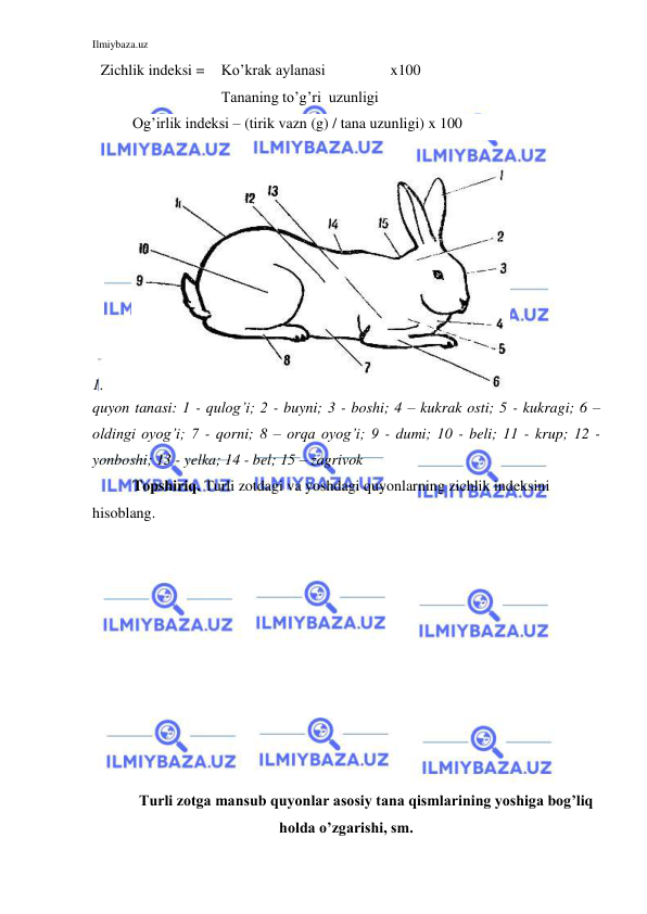 Ilmiybaza.uz 
 
Zichlik indeksi = 
Ko’krak aylanasi 
x100 
 
Tananing to’g’ri  uzunligi  
Og’irlik indeksi – (tirik vazn (g) / tana uzunligi) x 100 
 
1. 
 
quyon tanasi: 1 - qulog’i; 2 - buyni; 3 - boshi; 4 – kukrak osti; 5 - kukragi; 6 – 
oldingi oyog’i; 7 - qorni; 8 – orqa oyog’i; 9 - dumi; 10 - beli; 11 - krup; 12 - 
yonboshi; 13 - yelka; 14 - bel; 15 – zagrivok  
Topshiriq. Turli zotdagi va yoshdagi quyonlarning zichlik indeksini 
hisoblang. 
 
 
 
 
 
 
 
 
 
 
Turli zotga mansub quyonlar asosiy tana qismlarining yoshiga bog’liq 
holda o’zgarishi, sm. 
