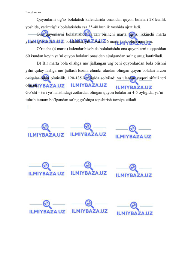 Ilmiybaza.uz 
 
Quyonlarni tig’iz bolalatish kalendarida onasidan quyon bolalari 28 kunlik 
yoshida, yarimtig’iz bolalatishda esa 35-40 kunlik yoshida ajratiladi. 
Ona quyonlarni bolalatishda ba’zan birinchi marta tig’iz, ikkinchi marta 
yarimtig’iz ko’rinishda bolalatilsa, yilni oxirida 6 marta bola olish mumkin. 
O’rtacha (4 marta) kalendar hisobida bolalatishda ona quyonlarni tuqqanidan 
60 kundan keyin ya’ni quyon bolalari onasidan ajralgandan so’ng urug’lantiriladi. 
D) Bir marta bola olishga mo’ljallangan urg’ochi quyonlardan bola olishni 
yilni qulay fasliga mo’ljallash lozim, chunki ulardan olingan quyon bolalari arzon 
oziqalar bilan o’stirilib, 120-135 kunligida so’yiladi va ulardan yuqori sifatli teri 
olinadi. 
Go’sht – teri yo’nalishidagi zotlardan olingan quyon bolalarini 4-5 oyligida, ya’ni 
tulash tamom bo’lgandan so’ng go’shtga topshirish tavsiya etiladi 
