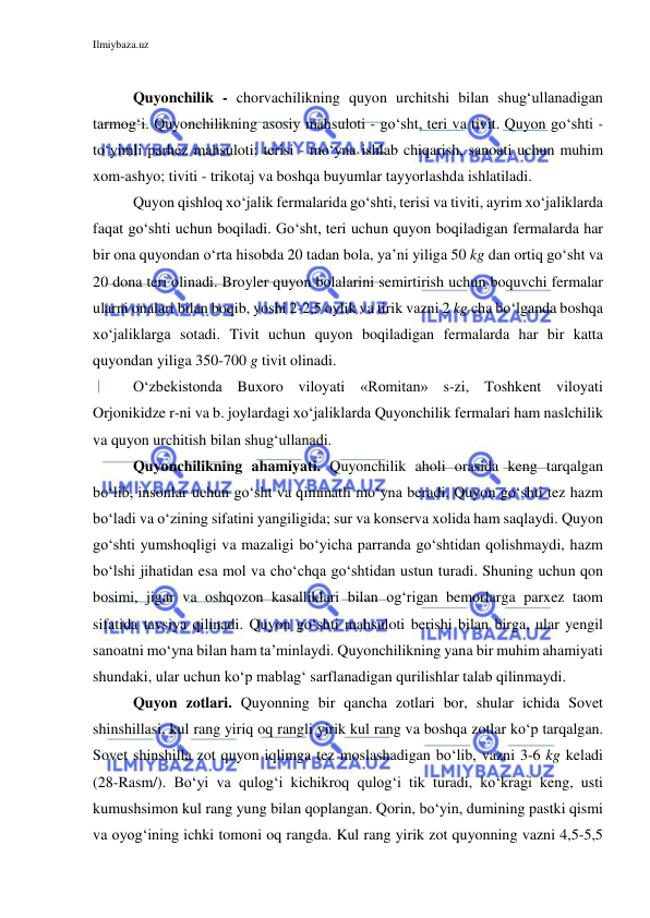 Ilmiybaza.uz 
 
 
Quyonchilik - chorvachilikning quyon urchitshi bilan shug‘ullanadigan 
tarmog‘i. Quyonchilikning asosiy mahsuloti - go‘sht, teri va tivit. Quyon go‘shti - 
to‘yimli parhez mahsuloti; terisi - mo‘yna ishlab chiqarish, sanoati uchun muhim 
xom-ashyo; tiviti - trikotaj va boshqa buyumlar tayyorlashda ishlatiladi. 
Quyon qishloq xo‘jalik fermalarida go‘shti, terisi va tiviti, ayrim xo‘jaliklarda 
faqat go‘shti uchun boqiladi. Go‘sht, teri uchun quyon boqiladigan fermalarda har 
bir ona quyondan o‘rta hisobda 20 tadan bola, ya’ni yiliga 50 kg dan ortiq go‘sht va 
20 dona teri olinadi. Broyler quyon bolalarini semirtirish uchun boquvchi fermalar 
ularni onalari bilan boqib, yoshi 2-2,5 oylik va tirik vazni 2 kg cha bo‘lganda boshqa 
xo‘jaliklarga sotadi. Tivit uchun quyon boqiladigan fermalarda har bir katta 
quyondan yiliga 350-700 g tivit olinadi. 
O‘zbekistonda Buxoro viloyati «Romitan» s-zi, Toshkent viloyati 
Orjonikidze r-ni va b. joylardagi xo‘jaliklarda Quyonchilik fermalari ham naslchilik 
va quyon urchitish bilan shug‘ullanadi. 
Quyonchilikning ahamiyati. Quyonchilik aholi orasida keng tarqalgan 
bo‘lib, insonlar uchun go‘sht va qimmatli mo‘yna beradi. Quyon go‘shti tez hazm 
bo‘ladi va o‘zining sifatini yangiligida; sur va konserva xolida ham saqlaydi. Quyon 
go‘shti yumshoqligi va mazaligi bo‘yicha parranda go‘shtidan qolishmaydi, hazm 
bo‘lshi jihatidan esa mol va cho‘chqa go‘shtidan ustun turadi. Shuning uchun qon 
bosimi, jigar va oshqozon kasalliklari bilan og‘rigan bemorlarga parxez taom 
sifatida tavsiya qilinadi. Quyon go‘shti mahsuloti berishi bilan birga, ular yengil 
sanoatni mo‘yna bilan ham ta’minlaydi. Quyonchilikning yana bir muhim ahamiyati 
shundaki, ular uchun ko‘p mablag‘ sarflanadigan qurilishlar talab qilinmaydi. 
Quyon zotlari. Quyonning bir qancha zotlari bor, shular ichida Sovet 
shinshillasi, kul rang yiriq oq rangli yirik kul rang va boshqa zotlar ko‘p tarqalgan. 
Sovet shinshilla zot quyon iqlimga tez moslashadigan bo‘lib, vazni 3-6 kg keladi 
(28-Rasm/). Bo‘yi va qulog‘i kichikroq qulog‘i tik turadi, ko‘kragi keng, usti 
kumushsimon kul rang yung bilan qoplangan. Qorin, bo‘yin, dumining pastki qismi 
va oyog‘ining ichki tomoni oq rangda. Kul rang yirik zot quyonning vazni 4,5-5,5 
