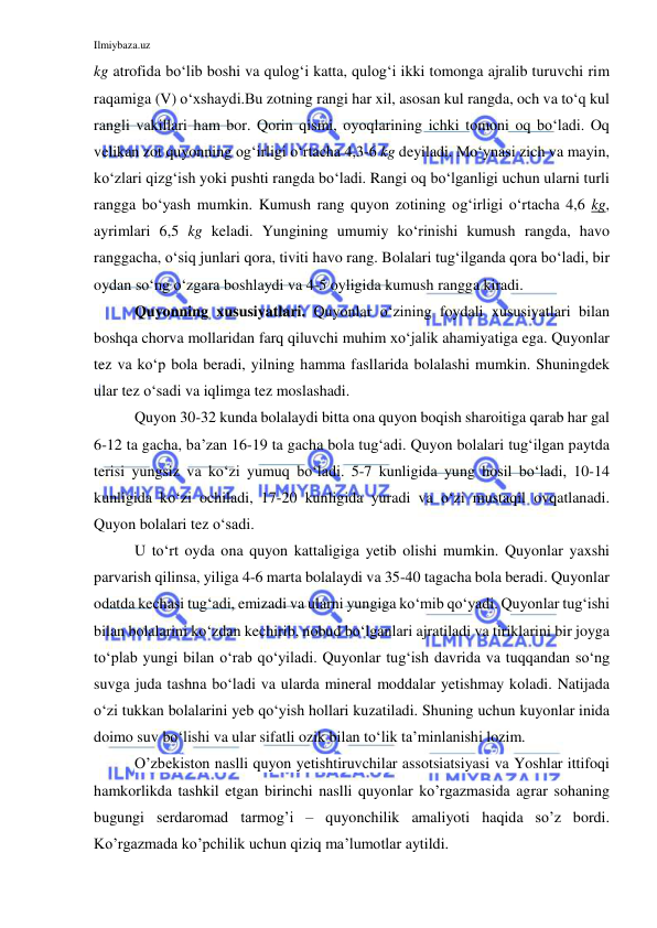 Ilmiybaza.uz 
 
kg atrofida bo‘lib boshi va qulog‘i katta, qulog‘i ikki tomonga ajralib turuvchi rim 
raqamiga (V) o‘xshaydi.Bu zotning rangi har xil, asosan kul rangda, och va to‘q kul 
rangli vakillari ham bor. Qorin qismi, oyoqlarining ichki tomoni oq bo‘ladi. Oq 
velikan zot quyonning og‘irligi o‘rtacha 4,3-6 kg deyiladi. Mo‘ynasi zich va mayin, 
ko‘zlari qizg‘ish yoki pushti rangda bo‘ladi. Rangi oq bo‘lganligi uchun ularni turli 
rangga bo‘yash mumkin. Kumush rang quyon zotining og‘irligi o‘rtacha 4,6 kg, 
ayrimlari 6,5 kg keladi. Yungining umumiy ko‘rinishi kumush rangda, havo 
ranggacha, o‘siq junlari qora, tiviti havo rang. Bolalari tug‘ilganda qora bo‘ladi, bir 
oydan so‘ng o‘zgara boshlaydi va 4-5 oyligida kumush rangga kiradi. 
Quyonning xususiyatlari. Quyonlar o‘zining foydali xususiyatlari bilan 
boshqa chorva mollaridan farq qiluvchi muhim xo‘jalik ahamiyatiga ega. Quyonlar 
tez va ko‘p bola beradi, yilning hamma fasllarida bolalashi mumkin. Shuningdek 
ular tez o‘sadi va iqlimga tez moslashadi. 
Quyon 30-32 kunda bolalaydi bitta ona quyon boqish sharoitiga qarab har gal 
6-12 ta gacha, ba’zan 16-19 ta gacha bola tug‘adi. Quyon bolalari tug‘ilgan paytda 
terisi yungsiz va ko‘zi yumuq bo‘ladi. 5-7 kunligida yung hosil bo‘ladi, 10-14 
kunligida ko‘zi ochiladi, 17-20 kunligida yuradi va o‘zi mustaqil ovqatlanadi. 
Quyon bolalari tez o‘sadi.  
U to‘rt oyda ona quyon kattaligiga yetib olishi mumkin. Quyonlar yaxshi 
parvarish qilinsa, yiliga 4-6 marta bolalaydi va 35-40 tagacha bola beradi. Quyonlar 
odatda kechasi tug‘adi, emizadi va ularni yungiga ko‘mib qo‘yadi. Quyonlar tug‘ishi 
bilan bolalarini ko‘zdan kechirib, nobud bo‘lganlari ajratiladi va tiriklarini bir joyga 
to‘plab yungi bilan o‘rab qo‘yiladi. Quyonlar tug‘ish davrida va tuqqandan so‘ng 
suvga juda tashna bo‘ladi va ularda mineral moddalar yetishmay koladi. Natijada 
o‘zi tukkan bolalarini yeb qo‘yish hollari kuzatiladi. Shuning uchun kuyonlar inida 
doimo suv bo‘lishi va ular sifatli ozik bilan to‘lik ta’minlanishi lozim. 
O’zbekiston naslli quyon yetishtiruvchilar assotsiatsiyasi va Yoshlar ittifoqi 
hamkorlikda tashkil etgan birinchi naslli quyonlar ko’rgazmasida agrar sohaning 
bugungi serdaromad tarmog’i – quyonchilik amaliyoti haqida so’z bordi. 
Ko’rgazmada ko’pchilik uchun qiziq ma’lumotlar aytildi. 
