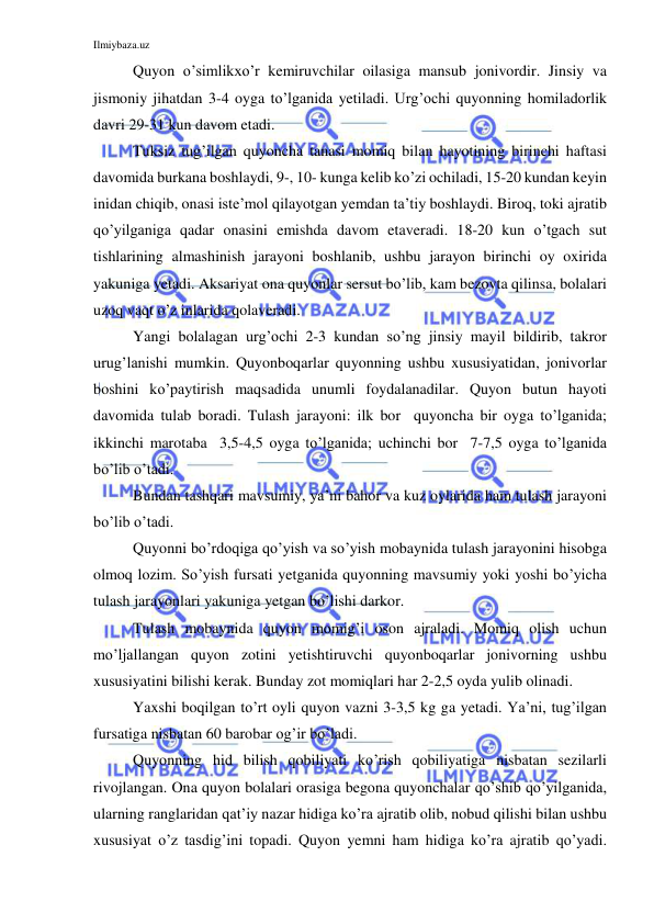 Ilmiybaza.uz 
 
Quyon o’simlikxo’r kemiruvchilar oilasiga mansub jonivordir. Jinsiy va 
jismoniy jihatdan 3-4 oyga to’lganida yetiladi. Urg’ochi quyonning homiladorlik 
davri 29-31 kun davom etadi. 
Tuksiz tug’ilgan quyoncha tanasi momiq bilan hayotining birinchi haftasi 
davomida burkana boshlaydi, 9-, 10- kunga kelib ko’zi ochiladi, 15-20 kundan keyin 
inidan chiqib, onasi iste’mol qilayotgan yemdan ta’tiy boshlaydi. Biroq, toki ajratib 
qo’yilganiga qadar onasini emishda davom etaveradi. 18-20 kun o’tgach sut 
tishlarining almashinish jarayoni boshlanib, ushbu jarayon birinchi oy oxirida 
yakuniga yetadi. Aksariyat ona quyonlar sersut bo’lib, kam bezovta qilinsa, bolalari 
uzoq vaqt o’z inlarida qolaveradi. 
Yangi bolalagan urg’ochi 2-3 kundan so’ng jinsiy mayil bildirib, takror 
urug’lanishi mumkin. Quyonboqarlar quyonning ushbu xususiyatidan, jonivorlar 
boshini ko’paytirish maqsadida unumli foydalanadilar. Quyon butun hayoti 
davomida tulab boradi. Tulash jarayoni: ilk bor  quyoncha bir oyga to’lganida; 
ikkinchi marotaba  3,5-4,5 oyga to’lganida; uchinchi bor  7-7,5 oyga to’lganida 
bo’lib o’tadi. 
Bundan tashqari mavsumiy, ya’ni bahor va kuz oylarida ham tulash jarayoni 
bo’lib o’tadi. 
Quyonni bo’rdoqiga qo’yish va so’yish mobaynida tulash jarayonini hisobga 
olmoq lozim. So’yish fursati yetganida quyonning mavsumiy yoki yoshi bo’yicha 
tulash jarayonlari yakuniga yetgan bo’lishi darkor. 
Tulash mobaynida quyon momig’i oson ajraladi. Momiq olish uchun 
mo’ljallangan quyon zotini yetishtiruvchi quyonboqarlar jonivorning ushbu 
xususiyatini bilishi kerak. Bunday zot momiqlari har 2-2,5 oyda yulib olinadi. 
Yaxshi boqilgan to’rt oyli quyon vazni 3-3,5 kg ga yetadi. Ya’ni, tug’ilgan 
fursatiga nisbatan 60 barobar og’ir bo’ladi. 
Quyonning hid bilish qobiliyati ko’rish qobiliyatiga nisbatan sezilarli 
rivojlangan. Ona quyon bolalari orasiga begona quyonchalar qo’shib qo’yilganida, 
ularning ranglaridan qat’iy nazar hidiga ko’ra ajratib olib, nobud qilishi bilan ushbu 
xususiyat o’z tasdig’ini topadi. Quyon yemni ham hidiga ko’ra ajratib qo’yadi. 
