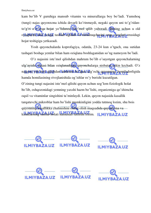 Ilmiybaza.uz 
 
kam bo’lib V guruhiga mansub vitamin va minerallarga boy bo’ladi. Yumshoq 
(tungi) najas quyonxona ichida deyarli ko’rinmaydi, negaki quyon uni to’g’ridan-
to’g’ri o’z orqa hojat yo’lidanoq iste’mol qilib yuboradi. Buning uchun u old 
oyoqlarini ikki yonga tashlab egiladi va tumshuqchasini orqa oyoqlari orasidagi 
hojat teshigiga yetkazadi. 
Yosh quyonchalarda koprofagiya, odatda, 23-24 kun o’tgach, ona sutidan 
tashqari boshqa yemlar bilan ham oziqlana boshlaganidan so’ng namoyon bo’ladi. 
O’z najasini iste’mol qilishdan mahrum bo’lib o’sayotgan quyonchalarning 
ulg’ayishi, najasi bilan oziqlanadigan quyonchalarga nisbatan sekin kechadi. O’z 
najasini iste’mol qilishdan mahrum bo’lgan urg’ochi quyonning homiladorligida 
hamda homilasining rivojlanishida og’ishlar ro’y berishi kuzatilgan. 
O’zining tungi najasini iste’mol qilishi quyon uchun sog’lom fiziologik holat 
bo’lib, oshqozonidagi yemning yaxshi hazm bo’lishi, organizmiga qo’shimcha 
oqsil va vitaminlar singishini ta’minlaydi. Lekin, quyon najasida kasallik 
tarqatuvchi mikroblar ham bo’lishi mumkinligini yodda tutmoq lozim, shu bois 
quyonning kasallikka chalinishini oldini olish maqsadida quyonxona va 
kataklarning sanitar holati namunali tutilishi lozim. 
