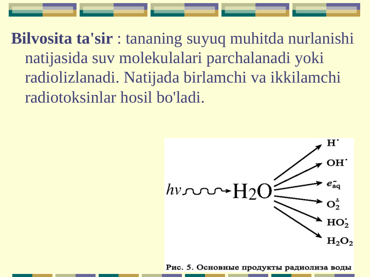 Bilvosita ta'sir : tananing suyuq muhitda nurlanishi 
natijasida suv molekulalari parchalanadi yoki 
radiolizlanadi. Natijada birlamchi va ikkilamchi 
radiotoksinlar hosil bo'ladi.
