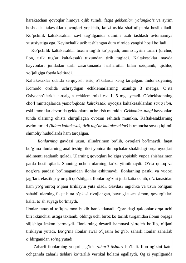 harakatchan qovoqlar himoya qilib turadi, faqat  gekkonlar, yalangko’z  va ayrim
boshqa kaltakesaklar qovoqlari yopishib, ko’zi ustida shaffof parda hosil qiladi.
Ko’pchilik  kaltakesaklar  xavf  tug’ilganida  dumini  uzib  tashlash  avtomamiya
xususiyatiga ega. Keyinchalik uzib tashlangan dum o’rnida yangisi hosil bo’ladi.
   Ko’pchilik kaltakesaklar tuxum tug’ib ko’payadi, ammo ayrim turlari (urchuq
ilon,  tirik  tug’ar  kaltakesak)  tuxumdan  tirik  tug’adi.  Kaltakesaklar  mayda
hayvonlar,  jumladan  turli  zararkunanda  hasharotlar  bilan  oziqlanib,  qishloq
xo’jaligiga foyda keltiradi.
Kaltakesaklar odatda serquyosh issiq o’lkalarda keng tarqalgan. Indoneziyaning
Komodo  orolida  uchraydigan  echkiemarlarning  uzunligi  3  metrga,  O’rta
Osiyocho’liarida tarqalgan echkiemarniki esa 1, 5 mga yetadi. O’zbekistonning
cho’l mintaqalarida yumaloqbosh kaltakesak, oyoqsiz kaltakesaklardan sariq ilon,
eski imoratlar devorida gekkonlarni uchratish mumkin. Gekkonlar-tungi hayvonlar,
tunda ularning ohista chirqillagan ovozini eshitish  mumkin. Kaftakesaklarning
ayrim turlari (ildam kaltakesak, tirik tug’ar kaltakesaklar) birmuncha sovuq iqlimii
shimoliy hududlarda ham tarqalgan.
     Ilonlarning  gavdasi uzun, silindrsimon bo’lib, oyoqlari bo’lmaydi, faqat
bo’g’ma ilonlarning anal teshigi ikki yonida ilmoqchalar shaklidagi orqa oyoqlari
aidimenti saqlanib qoladi. Ularning qovoqlari ko’ziga yopishib yupqa shishasimon
parda hosil qiladi. Shuning uchun ularning ko’zi yiimilmaydi. O’rta quloq va
nog’ora pardasi bo’lmaganidan ilonlar eshitmaydi. Ilonlarning pastki va yuqori
jag’lari, elastik pay orqali qo’shilgan. Ilonlar og’zini juda katta ochib, o’z tanasidan
ham yo’g’onroq o’ljani tiriklayin yuta oladi. Gavdasi ingichka va uzun bo’Igani
sababli ularning faqat bitta o’pkasi rivojlangan, buyragi tasmasimon, qovurg’alari
kalta, to’sh suyagi bo’lmaydi.
Ilonlar tanasini to’lqinsimon bukib harakatlanadi. Qornidagi qalqonlar orqa uchi
biri ikkinchisi ustiga taxlanib, oldingi uchi biroz ko’tarilib turganidan ilonni orqaga
siljishiga imkon bermaydi. Ilonlarning deyarli hammasi yirtqich bo’Iib, o’ljani
tiriklayin yutadi. Bo’g’ma ilonlar awal o’ljasini bo’g’ib, zaharli ilonlar zaharlab
o’ldirganidan so’ng yutadi.
    Zaharli ilonlarning yuqori jag’ida  zaharli tishlari  bo’Iadi. Ilon og’zini katta
ochganida zaharli tishlari ko’tarilib vertikal holatni egallaydi. Og’zi yopilganida
