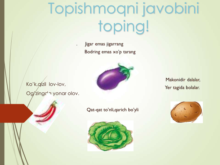 Topishmoqni javobini 
toping!
Ko’k,qizil  lov-lov,
Og’zingda yonar olov.
Qat-qat to’nli,qarich bo’yli
