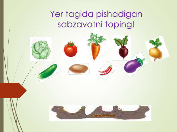 Yer tagida pishadigan 
sabzavotni toping!
