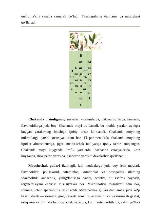 uning  ta’siri  yanada  samarali  bo‘ladi.  Tirnoqgulning  damlama  va  nastoykasi
qo‘llanadi. 
D
o‘l
an
a
R
au
vo
lfi
a 
B
ax
or
gi
a
d
o
ni
s
St
ro
fa
nt 
M
ar
va
ri
d
gu
l
Chakanda o‘simligining mevalari vitaminlarga, mikrounsurlarga, kumarin,
flavonoidlarga juda boy. Chakanda moyi qo‘llanadi, bu modda yaralar, ayniqsa
kuygan  yaralarning  bitishiga  ijobiy  ta’sir  ko‘rsatadi.  Chakanda  moyining
mikroblarga  qarshi  xususiyati  ham  bor.  Eksperimentlarda  chakanda  moyining
lipidlar  almashinuviga, jigar, me’da-ichak  faoliyatiga ijobiy ta’siri  aniqlangan.
Chakanda  moyi  kuyganda,  trofik  yaralarda,  bachadon  eroziyalarida,  ko‘z
kuyganda, shox parda yarasida, oshqozon yarasini davolashda qo‘llanadi. 
Moychechak  gullari fiziologik  faol  moddalarga  juda  boy  (efir  moylari,
flavonoidlar,  polisaxarid,  vitaminlar,  kumarinlar  va  boshqalar),  ularning
spazmolitik,  antiseptik,  yallig‘lanishga  qarshi,  sedativ,  o‘t  (safro)  haydash,
regeneratsiyani  oshirish  xususiyatlari  bor.  M-xolinolitik  xususiyati  ham  bor,
shuning uchun spazmolitik ta’sir etadi. Moychechak gullari damlamasi juda ko‘p
kasalliklarda — stomatit, gingivitlarda, tonzillit, angina, o‘tkir va surunkali gastrit,
oshqozon va o‘n ikki barmoq ichak yarasida, kolit, enterokolitlarda, safro yo‘llari
