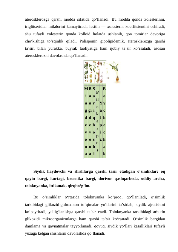 aterosklerozga qarshi modda sifatida qo‘llanadi. Bu modda qonda xolesterinni,
triglitseridlar mikdorini kamaytiradi, lesitin — xolesterin koeffitsientini oshiradi,
shu  tufayli  xolesterin  qonda  kolloid  holatda  ushlanib,  qon  tomirlar  devoriga
cho‘kishiga  to‘sqinlik  qiladi.  Polisponin  gipolipidemik,  aterosklerozga  qarshi
ta’siri  bilan  yurakka,  buyrak  faoliyatiga  ham  ijobiy  ta’sir  ko‘rsatadi,  asosan
aterosklerozni davolashda qo‘llanadi. 
M
i
n
g
d
e
v
o
n
a
B
a
n
gi
d
e
v
o
n
a
S
a
r
i
q
b
o
s
h
i
P
il
o
k
a
r
p
u
s
Y
a
l
p
i
z
B
o
y
c
h
e
c
h
a
k
Siydik  haydovchi  va  shishlarga  qarshi  tasir  etadigan  o‘simliklar: oq
qayin  bargi,  kurtagi,  brusnika  bargi,  dorivor  qashqarbeda,  oddiy  archa,
toloknyanka, ittikanak, qirqbo‘g‘im. 
Bu  o‘simliklar  o‘rtasida  toloknyanka  ko‘proq,  qo‘llaniladi,  o‘simlik
tarkibidagi  glikozid-gidroxinon to‘qimalar  yo‘llarini  ta’sirlab, siydik ajralishini
ko‘paytiradi, yallig‘lanishga qarshi ta’sir etadi. Toloknyanka tarkibidagi arbutin
glikozidi  mikroorganizmlarga  ham  qarshi  ta’sir  ko‘rsatadi.  O‘simlik  bargidan
damlama va qaynatmalar tayyorlanadi, qovuq, siydik yo‘llari kasalliklari tufayli
yuzaga kelgan shishlarni davolashda qo‘llanadi. 
