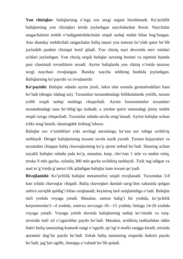 Yon  chiziqlar:  baliqlarning  o’ziga  xos  sezgi  organi  hisoblanadi.  Ko’pchilik
baliqlarning  yon  chiziqlari  terida  joylashgan  naychalardan  iborat.  Naychalar
tangachalarni teshib o’tadiganteshikchalar orqali tashqi muhit bilan bog’Iangan.
Ana shunday teshikchali tangachalar baliq tanasi yon tomoni bo’ylab qator bo’Iib
joylashib punktir chiziqni hosil qiladi. Yon chiziq nayi devorida nerv tolalari
uchlari joylashgan. Yon chiziq orqali baliqlar suvning bosimi va oqimini hamda
past chastotali tovushlarni sezadi. Ayrim baliqlarda yon chiziq o’rnida maxsus
sezgi  naychasi  rivojlangan.  Bunday  naycha  seldning  boshida  joylashgan.
Baliqlarning ko’payishi va rivojlanishi
Ko’payishi:  Baliqlar odatda ayrim  jinsli, lekin ular orasida germafroditlari ham
bo’ladt (dengiz olabug’asi). Tuxumlari tuxumdondagi follikulalarda yetilib, tuxum
yoMi  orqali  tashqi  muhitga  chiqariladi.  Ayrim  losossimonlar  tuxumlari
tuxumdondagi tana bo’shlig’iga tushadi; u yerdan qorin tomondagi jinsiy teshik
orqali suvga chiqariladi. Tuxumlar odatda suvda urug’lanadi. Ayrim baliqlar uchun
ichki urug’lanish, shuningdek tiriktug’ishxos.
Baliqlar suv o’simliklari yoki suvdagi  narsalarga, ba’zan suv tubiga  uvildiriq
tashlaydi. Dengiz baliqlarining tuxumi suvda suzib yuradi. Tuxum hujayralari va
tuxumdan chiqqan baliq chavoqlarining ko’p qismi nobud bo’ladi. Shuning uchun
suyakli baliqlar odatda juda ko’p, masalan, karp, cho’rtan 1 mln va undan ortiq,
treska 9 mln gacha, oybaliq 300 mln gacha uvildiriq tashlaydi. Tirik tug’adigan va
nasl to’g’risida g’amxo’rlik qiladigan baliqlar kam tuxum qo’yadi.
Rivojlanishi:  Ko’pchilik baliqlar metamorfoz orqali rivojlanadi. Tuxumdan 3-8
kun ichida chavoqlar chiqadi. Baliq chavoqlari dastlab sarig’don xaltasida qolgan
zahira sariqlik qoldig’i bilan oziqlanadi; keyinroq faol oziqlanishga o’tadi. Baliqlar
turli  yoshda  voyaga  yetadi.  Masalan,  xatnsa  balig’i  bir  yoshda,  ko’pchilik
karpsimonlar3—4 yoshda, osetrva sevryuga 10—15 yoshda; beluga 14-20 yoshda
voyaga  yetadi.  Voyaga  yetish  davrida  baliqlarning  tashqi  ko’rinishi  va  turq-
atvorida turli xil o’zgarishlar paydo bo’ladi. Masalan, uvildiriq tashlashdan oldin
bukri baliq tanasining kumush rangi o’zgarib, qo’ng’ir-malla rangga kiradi; terisida
qoramtir dog’lar paydo bo’ladi. Erkak baliq tanasining orqasida bukrisi paydo
bo’ladi; jag’lari egilib, ilmoqqa o’xshash bo’lib qoladi.
