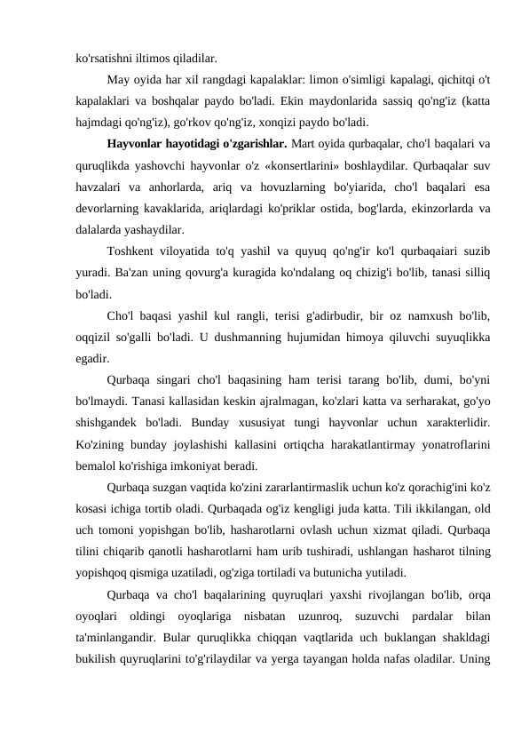 ko'rsatishni iltimos qiladilar.
May oyida har xil rangdagi kapalaklar: limon o'simligi kapalagi, qichitqi o't
kapalaklari va boshqalar paydo bo'ladi. Ekin  maydonlarida sassiq qo'ng'iz (katta
hajmdagi qo'ng'iz), go'rkov qo'ng'iz, xonqizi paydo bo'ladi.
Hayvonlar hayotidagi o'zgarishlar. Mart oyida qurbaqalar, cho'l baqalari va
quruqlikda yashovchi hayvonlar o'z «konsertlarini» boshlaydilar. Qurbaqalar suv
havzalari  va  anhorlarda,  ariq  va  hovuzlarning  bo'yiarida,  cho'l  baqalari  esa
devorlarning kavaklarida, ariqlardagi ko'priklar ostida, bog'larda, ekinzorlarda  va
dalalarda yashaydilar.
Toshkent viloyatida to'q yashil va quyuq qo'ng'ir ko'l qurbaqaiari suzib
yuradi. Ba'zan uning qovurg'a kuragida ko'ndalang oq chizig'i bo'lib, tanasi silliq
bo'ladi.
Cho'l baqasi yashil kul rangli, terisi g'adirbudir, bir oz namxush bo'lib,
oqqizil so'galli bo'ladi. U dushmanning hujumidan himoya qiluvchi suyuqlikka
egadir.
Qurbaqa  singari  cho'l  baqasining ham  terisi  tarang bo'lib, dumi, bo'yni
bo'lmaydi. Tanasi kallasidan keskin ajralmagan, ko'zlari katta va serharakat, go'yo
shishgandek  bo'ladi.  Bunday  xususiyat  tungi  hayvonlar  uchun  xarakterlidir.
Ko'zining bunday  joylashishi  kallasini  ortiqcha harakatlantirmay  yonatroflarini
bemalol ko'rishiga imkoniyat beradi.
Qurbaqa suzgan vaqtida ko'zini zararlantirmaslik uchun ko'z qorachig'ini ko'z
kosasi ichiga tortib oladi. Qurbaqada og'iz kengligi juda katta. Tili ikkilangan, old
uch tomoni yopishgan bo'lib, hasharotlarni ovlash uchun xizmat qiladi. Qurbaqa
tilini chiqarib qanotli hasharotlarni ham urib tushiradi, ushlangan hasharot tilning
yopishqoq qismiga uzatiladi, og'ziga tortiladi va butunicha yutiladi.
Qurbaqa va cho'l baqalarining quyruqlari yaxshi rivojlangan  bo'lib, orqa
oyoqlari  oldingi  oyoqlariga  nisbatan  uzunroq,  suzuvchi  pardalar  bilan
ta'minlangandir. Bular quruqlikka chiqqan vaqtlarida uch buklangan shakldagi
bukilish quyruqlarini to'g'rilaydilar va yerga tayangan holda nafas oladilar. Uning
