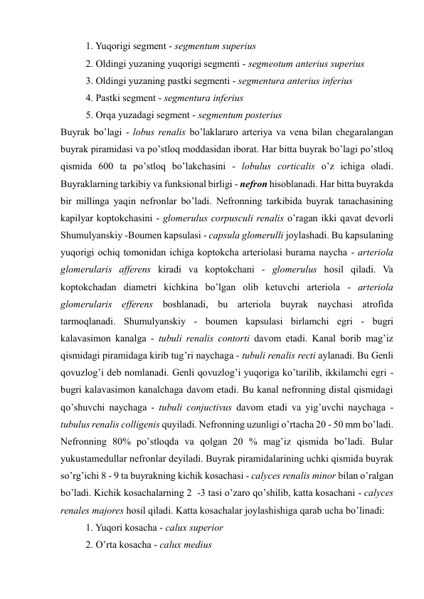 1. Yuqorigi segment - segmentum superius  
2. Oldingi yuzaning yuqorigi segmenti - segmeotum anterius superius  
3. Oldingi yuzaning pastki segmenti - segmentura anterius inferius 
4. Pastki segment - segmentura inferius  
5. Orqa yuzadagi segment - segmentum posterius 
Buyrak bo’lagi - lobus renalis bo’laklararo arteriya va vena bilan chegaralangan 
buyrak piramidasi va poʼstloq moddasidan iborat. Har bitta buyrak boʼlagi poʼstloq 
qismida 600 ta poʼstloq boʼlakchasini - lobulus corticalis oʼz ichiga oladi. 
Buyraklarning tarkibiy va funksional birligi - nefron hisoblanadi. Har bitta buyrakda 
bir millinga yaqin nefronlar boʼladi. Nefronning tarkibida buyrak tanachasining 
kapilyar koptokchasini - glomerulus corpusculi renalis oʼragan ikki qavat devorli 
Shumulyanskiy -Boumen kapsulasi - capsula glomerulli joylashadi. Bu kapsulaning 
yuqorigi ochiq tomonidan ichiga koptokcha arteriolasi burama naycha - arteriola 
glomerularis afferens kiradi va koptokchani - glomerulus hosil qiladi. Va 
koptokchadan diametri kichkina boʼlgan olib ketuvchi arteriola - arteriola 
glomerularis efferens boshlanadi, bu arteriola buyrak naychasi atrofida 
tarmoqlanadi. Shumulyanskiy - boumen kapsulasi birlamchi egri - bugri 
kalavasimon kanalga - tubuli renalis contorti davom etadi. Kanal borib magʼiz 
qismidagi piramidaga kirib tug’ri naychaga - tubuli renalis recti aylanadi. Bu Genli 
qovuzlogʼi deb nomlanadi. Genli qovuzlogʼi yuqoriga koʼtarilib, ikkilamchi egri - 
bugri kalavasimon kanalchaga davom etadi. Bu kanal nefronning distal qismidagi 
qoʼshuvchi naychaga - tubuli conjuctivus davom etadi va yigʼuvchi naychaga - 
tubulus renalis colligenis quyiladi. Nefronning uzunligi oʼrtacha 20 - 50 mm boʼladi. 
Nefronning 80% poʼstloqda va qolgan 20 % magʼiz qismida boʼladi. Bular 
yukustamedullar nefronlar deyiladi. Buyrak piramidalarining uchki qismida buyrak 
soʼrgʼichi 8 - 9 ta buyrakning kichik kosachasi - calyces renalis minor bilan oʼralgan 
boʼladi. Kichik kosachalarning 2  -3 tasi oʼzaro qoʼshilib, katta kosachani - calyces 
renales majores hosil qiladi. Katta kosachalar joylashishiga qarab ucha boʼlinadi: 
1. Yuqori kosacha - calux superior 
2. Oʼrta kosacha - calux medius 
