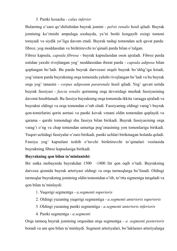 3. Pastki kosacha - calux inferior  
Bularning oʼzaro qoʼshilishidan buyrak jomini - pelvis renalis hosil qiladi. Buyrak 
jomining koʼrinishi ampulaga uxshayda, ya’ni boshi kengayib oxirgi tomoni 
torayadi va siydik yoʼliga davom etadi. Buyrak tashqi tomondan uch qavat parda: 
fibroz, yog moddasidan va biriktiruvchi toʼqimali parda bilan oʼralgan.  
Fibroz kapsula, capsula fibrosa - buyrak kapsulasidan oson ajraladi. Fibroz parda 
ustidan yaxshi rivojlangan yogʼ moddassidan iborat parda - capsula adiposa bilan 
qoplangan boʼladi. Bu parda buyrak darvozasi orqali buyrak boʼshligʼiga kiradi, 
yogʼsimon parda buyrakning orqa tomonida yahshi rivojlangan boʼladi va bu buyrak 
orqa yogʼ tanasini - corpus adiposum pararenale hosil qiladi. Yogʼ qavati ustida 
buyrak fassiyasi - fascia renalis qorinning orqa devoridagi mushak fassiyasining 
davomi hisoblanadi. Bu fassiya buyrakning orqa tomonida ikkita varaqga ajraladi va 
buyrakni oldingi va orqa tomondan oʼrab oladi. Fassiyaning oldingi varagʼi buyrak 
qon-tomirlarini qorin aortasi va pastki kovak venani oldin tomondan qoplaydi va 
qarama - qarshi tomondagi shu fassiya bilan birikadi. Buyrak fassiyasining orqa 
varagʼi oʼng va chap tomondan umurtqa pogʼonasining yon tomonlariga birikadi. 
Yuqori uchidagi fassiyalar oʼzaro birikadi, pastki uchlari birikmagan holatda qoladi. 
Fassiya yog’ kapsulani teshib oʼtuvchi biriktiruvchi toʼqimalari vositasida 
buyrakning fibroz kapsulasiga birikadi. 
Buyrakning qon bilan ta’minlanishi: 
Bir sutka mobaynida buyrakdan 1500  -1800 litr qon oqib oʼtadi. Buyrakning 
darvoza qismida buyrak arteriyasi oldingi va orqa tarmoqlarga boʼlinadi. Oldingi 
tarmoqlar buyrakning jomining oldin tomonidan oʼtib, toʼrtta sigmentga tarqaladi va 
qon bilan ta’minlaydi: 
1. Yuqorigi segmentga - a.segmenti superioris 
2. Oldingi yuzaning yuqorigi segmentiga - a.segmenti anterioris superioris 
3 .Oldingi yuzaning pastki segmentiga - a.segmenti anterioris inferioris 
4. Pastki segmentga - a.segmenti  
Orqa tarmoq buyrak jomining orqasidan orqa segmentga - a .segmenti posterioris 
boradi va uni qon bilan ta’minlaydi. Segment arteriyalari, boʼlaklararo arteriyalarga 
