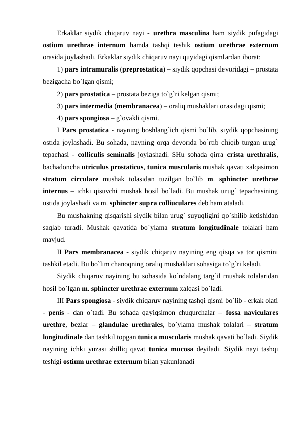 Erkaklar siydik chiqaruv nayi -  urethra masculina ham siydik pufagidagi
ostium urethrae  internum hamda  tashqi  teshik  ostium urethrae externum
orasida joylashadi. Erkaklar siydik chiqaruv nayi quyidagi qismlardan iborat: 
1) pars intramuralis (preprostatica) – siydik qopchasi devoridagi – prostata
bezigacha bo`lgan qismi; 
2) pars prostatica – prostata beziga to`g`ri kelgan qismi; 
3) pars intermedia (membranacea) – oraliq mushaklari orasidagi qismi; 
4) pars spongiosa – g`ovakli qismi. 
I Pars prostatica - nayning boshlang`ich qismi bo`lib, siydik qopchasining
ostida joylashadi. Bu sohada, nayning orqa devorida bo`rtib chiqib turgan urug`
tepachasi -  colliculis seminalis joylashadi. SHu sohada qirra  crista urethralis,
bachadoncha utriculus prostaticus, tunica muscularis mushak qavati xalqasimon
stratum circulare mushak  tolasidan  tuzilgan  bo`lib  m.  sphincter urethrae
internus – ichki qisuvchi mushak hosil bo`ladi. Bu mushak urug` tepachasining
ustida joylashadi va m. sphincter supra colliuculares deb ham ataladi.  
Bu mushakning qisqarishi siydik bilan urug` suyuqligini qo`shilib ketishidan
saqlab turadi. Mushak qavatida bo`ylama  stratum longitudinale tolalari ham
mavjud.   
II Pars membranacea - siydik chiqaruv nayining eng qisqa va tor qismini
tashkil etadi. Bu bo`lim chanoqning oraliq mushaklari sohasiga to`g`ri keladi. 
Siydik chiqaruv nayining bu sohasida ko`ndalang targ`il mushak tolalaridan
hosil bo`lgan m. sphincter urethrae externum xalqasi bo`ladi. 
III Pars spongiosa - siydik chiqaruv nayining tashqi qismi bo`lib - erkak olati
-  penis - dan o`tadi. Bu sohada qayiqsimon chuqurchalar –  fossa naviculares
urethre, bezlar –  glandulae urethrales, bo`ylama mushak tolalari –  stratum
longitudinale dan tashkil topgan tunica muscularis mushak qavati bo`ladi. Siydik
nayining ichki yuzasi shilliq qavat  tunica mucosa deyiladi. Siydik nayi tashqi
teshigi ostium urethrae externum bilan yakunlanadi
