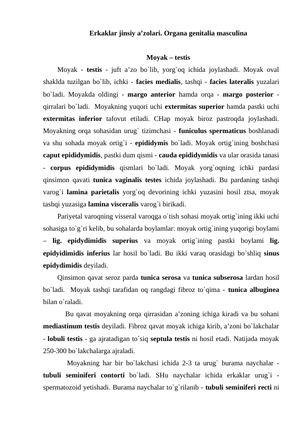 Erkaklar jinsiy a’zolari. Organa genitalia masculina
Moyak – testis
Moyak -  testis - juft a’zo bo`lib, yorg`oq ichida joylashadi. Moyak oval
shaklda tuzilgan bo`lib, ichki - facies medialis, tashqi - facies lateralis yuzalari
bo`ladi. Moyakda oldingi - margo anterior hamda orqa -  margo posterior -
qirralari bo`ladi.  Moyakning yuqori uchi extermitas superior hamda pastki uchi
extermitas inferior tafovut  etiladi.  CHap  moyak  biroz  pastroqda  joylashadi.
Moyakning orqa sohasidan urug` tizimchasi - funiculus spermaticus boshlanadi
va shu sohada moyak ortig`i - epididymis bo`ladi. Moyak ortig`ining boshchasi
caput epididymidis, pastki dum qismi - cauda epididymidis va ular orasida tanasi
-  corpus epididymidis qismlari  bo`ladi.  Moyak  yorg`oqning  ichki  pardasi
qinsimon qavati  tunica vaginalis testes  ichida joylashadi. Bu pardaning tashqi
varog`i  lamina parietalis yorg`oq devorining ichki yuzasini hosil ztsa, moyak
tashqi yuzasiga lamina visceralis varog`i birikadi.  
Pariyetal varoqning visseral varoqga o`tish sohasi moyak ortig`ining ikki uchi
sohasiga to`g`ri kelib, bu sohalarda boylamlar: moyak ortig`ining yuqorigi boylami
–  lig.  epidydimidis  superius va  moyak  ortig`ining  pastki  boylami  lig.
epidyidimidis inferius  lar hosil bo`ladi. Bu ikki varaq orasidagi bo`shliq  sinus
epidydimidis deyiladi.
Qinsimon qavat seroz parda tunica serosa va tunica subserosa lardan hosil
bo`ladi.  Moyak tashqi tarafidan oq rangdagi fibroz to`qima - tunica albuginea
bilan o`raladi. 
   Bu qavat moyakning orqa qirrasidan a’zoning ichiga kiradi va bu sohani
mediastinum testis deyiladi. Fibroz qavat moyak ichiga kirib, a’zoni bo`lakchalar
- lobuli testis - ga ajratadigan to`siq septula testis ni hosil etadi. Natijada moyak
250-300 bo`lakchalarga ajraladi. 
   Moyakning har bir bo`lakchasi ichida 2-3 ta urug` burama naychalar -
tubuli seminiferi contorti bo`ladi.  SHu  naychalar  ichida  erkaklar  urug`i  -
spermatozoid yetishadi. Burama naychalar to`g`rilanib - tubuli seminiferi recti ni
