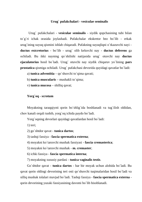 Urug` pufakchalari - vesiculae seminalis 
 Urug` pufakchalari -  vesiculae seminalis - siydik qopchasining tubi bilan
to`g`ri  ichak  orasida  joylashadi.  Pufakchalar  ekskretor  bez  bo`lib  -  erkak
urug`ining suyuq qismini ishlab chiqaradi. Pufakning suyuqliqni o`tkazuvchi nayi -
ductus extcretorius - bo`lib - urug` olib keluvchi nay -  ductus deferens ga
ochiladi.  Bu  ikki  nayning  qo`shilishi  natijasida  urug`  otuvchi  nay  ductus
ejaculatorius hosil bo`ladi. Urug` otuvchi nay siydik chiqaruv yo`lining  pars
prostatica qismiga ochiladi. Urug` pufakchasi devorida quyidagi qavatlar bo`ladi: 
a) tunica adventitia – qo`shuvchi to`qima qavati; 
b) tunica muscularis – mushakli to`qima; 
v) tunica mucosa – shilliq qavat; 
 
Yorg`oq - scrotum
Moyakning taraqqiyoti qorin bo`shlig`ida boshlanadi va tug`ilish oldidan,
chov kanali orqali tushib, yorg`oq ichida paydo bo`ladi. 
Yorg`oqning devorlari quyidagi qavatlardan hosil bo`ladi: 
1) teri; 
2) go`shtdor qavat - tunica dartos; 
3) tashqi fassiya - fascia spermatica externa; 
4) moyakni ko`taruvchi mushak fassiyasi - fascia cremasterica; 
5) moyakni ko`taruvchi mushak - m. cremaster; 
6) ichki fassiya - fascia spermatica interna; 
7) moyakning xususiy pardasi - tunica vaginalis testis. 
Go`shtdor qavat - tunica dartos - har bir moyak uchun alohida bo`ladi. Bu
qavat qorin oldingi devorining teri osti qo`shuvchi tuqimalaridan hosil bo`ladi va
silliq mushak tolalari mavjud bo`ladi. Tashqi fassiya - fascia spermatica externa -
qorin devorining yuzaki fassiyasining davomi bo`lib hisoblanadi. 
