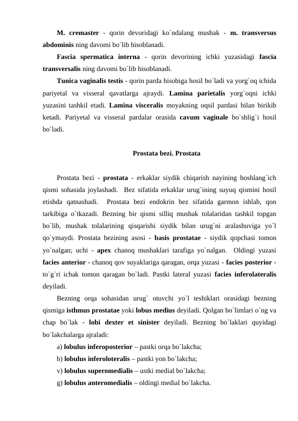 M.  cremaster -  qorin  devoridagi  ko`ndalang  mushak  -  m.  transversus
abdominis ning davomi bo`lib hisoblanadi. 
Fascia  spermatica  interna -  qorin  devorining  ichki  yuzasidagi  fascia
transversalis ning davomi bo`lib hisoblanadi. 
Tunica vaginalis testis - qorin parda hisobiga hosil bo`ladi va yorg`oq ichida
pariyetal  va  visseral  qavatlarga  ajraydi.  Lamina  parietalis yorg`oqni  ichki
yuzasini tashkil etadi.  Lamina visceralis moyakning oqsil pardasi bilan birikib
ketadi. Pariyetal va visseral pardalar orasida cavum vaginale  bo`shlig`i hosil
bo`ladi. 
Prostata bezi. Prostata
Prostata bezi -  prostata - erkaklar siydik chiqarish nayining boshlang`ich
qismi sohasida joylashadi.  Bez sifatida erkaklar urug`ining suyuq qismini hosil
etishda  qatnashadi.   Prostata  bezi  endokrin  bez  sifatida  garmon  ishlab,  qon
tarkibiga o`tkazadi. Bezning bir qismi silliq mushak tolalaridan tashkil topgan
bo`lib,  mushak  tolalarining  qisqarishi  siydik  bilan  urug`ni  aralashuviga  yo`l
qo`ymaydi. Prostata bezining asosi -  basis prostatae - siydik qopchasi tomon
yo`nalgan; uchi -  apex chanoq mushaklari tarafiga yo`nalgan.  Oldingi yuzasi
facies anterior - chanoq qov suyaklariga qaragan, orqa yuzasi - facies posterior -
to`g`ri ichak tomon qaragan bo`ladi. Pastki lateral yuzasi  facies inferolateralis
deyiladi. 
Bezning  orqa  sohasidan  urug`  otuvchi  yo`l  teshiklari  orasidagi  bezning
qismiga isthmus prostatae yoki lobus medius deyiladi. Qolgan bo`limlari o`ng va
chap  bo`lak  -  lobi dexter et sinister deyiladi.  Bezning  bo`laklari  quyidagi
bo`lakchalarga ajraladi:
a) lobulus inferoposterior – pastki orqa bo`lakcha; 
b) lobulus inferoloteralis – pastki yon bo`lakcha; 
v) lobulus superomedialis – ustki medial bo`lakcha; 
g) lobulus anteromedialis – oldingi medial bo`lakcha.
