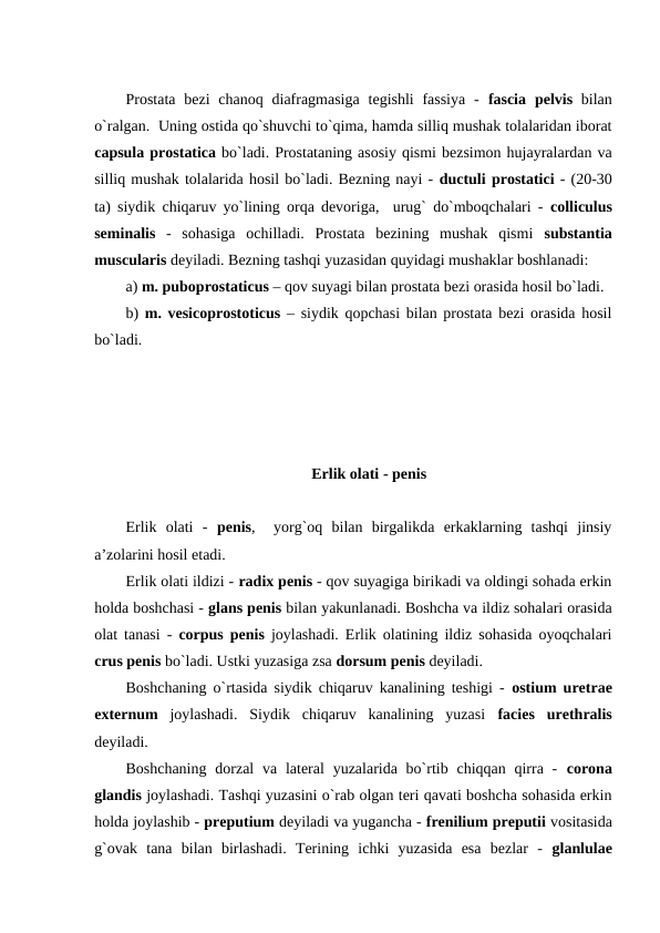 Prostata  bezi  chanoq diafragmasiga  tegishli  fassiya  -  fascia pelvis bilan
o`ralgan.  Uning ostida qo`shuvchi to`qima, hamda silliq mushak tolalaridan iborat
capsula prostatica bo`ladi. Prostataning asosiy qismi bezsimon hujayralardan va
silliq mushak tolalarida hosil bo`ladi. Bezning nayi - ductuli prostatici - (20-30
ta) siydik chiqaruv yo`lining orqa devoriga,  urug` do`mboqchalari -  colliculus
seminalis -  sohasiga  ochilladi.  Prostata  bezining  mushak  qismi substantia
muscularis deyiladi. Bezning tashqi yuzasidan quyidagi mushaklar boshlanadi: 
a) m. puboprostaticus – qov suyagi bilan prostata bezi orasida hosil bo`ladi.  
b) m. vesicoprostoticus – siydik qopchasi bilan prostata bezi orasida hosil
bo`ladi. 
Erlik olati - penis
Erlik  olati  -  penis,   yorg`oq  bilan  birgalikda  erkaklarning  tashqi  jinsiy
a’zolarini hosil etadi. 
Erlik olati ildizi - radix penis - qov suyagiga birikadi va oldingi sohada erkin
holda boshchasi - glans penis bilan yakunlanadi. Boshcha va ildiz sohalari orasida
olat tanasi -  corpus penis joylashadi. Erlik olatining ildiz sohasida oyoqchalari
crus penis bo`ladi. Ustki yuzasiga zsa dorsum penis deyiladi. 
Boshchaning o`rtasida siydik chiqaruv kanalining teshigi -  ostium uretrae
externum joylashadi.  Siydik  chiqaruv  kanalining  yuzasi  facies urethralis
deyiladi. 
Boshchaning  dorzal  va lateral  yuzalarida bo`rtib chiqqan qirra -  corona
glandis joylashadi. Tashqi yuzasini o`rab olgan teri qavati boshcha sohasida erkin
holda joylashib - preputium deyiladi va yugancha - frenilium preputii vositasida
g`ovak  tana  bilan  birlashadi.  Terining  ichki  yuzasida  esa  bezlar  -  glanlulae
