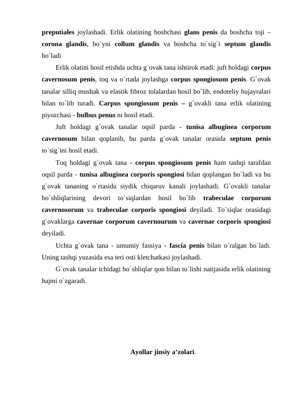 preputiales joylashadi. Erlik olatining boshchasi  glans penis da boshcha toji –
corona glandis,  bo`yni  collum glandis va  boshcha  to`sig`i  septum glandis
bo`ladi
Erlik olatini hosil etishda uchta g`ovak tana ishtirok etadi: juft holdagi corpus
cavernosum penis, toq va o`rtada joylashga corpus spongiosum penis. G`ovak
tanalar silliq mushak va elastik fibroz tolalardan hosil bo`lib, endoteliy hujayralari
bilan to`lib turadi. Carpus spongiosum penis –  g`ovakli tana erlik olatining
piyozchasi - bulbus penus ni hosil etadi.  
Juft  holdagi  g`ovak  tanalar  oqsil  parda  -  tunisa albuginea corporum
cavernosum bilan  qoplanib,  bu  parda  g`ovak  tanalar  orasida  septum penis
to`sig`ini hosil etadi. 
Toq holdagi g`ovak tana -  corpus spongiosum penis ham tashqi tarafdan
oqsil parda - tunisa albuginea corporis spongiosi bilan qoplangan bo`ladi va bu
g`ovak  tananing  o`rtasida  siydik  chiqaruv  kanali  joylashadi.  G`ovakli  tanalar
bo`shliqlarining  devori  to`siqlardan  hosil  bo`lib
 trabeculae 
corporum
cavernosorum va  trabeculae corporis spongiosi deyiladi. To`siqlar orasidagi
g`ovaklarga cavernae corporum cavernourum va cavernae corporis spongiosi
deyiladi.
Uchta g`ovak tana - umumiy fassiya -  fascia penis bilan o`ralgan bo`ladi.
Uning tashqi yuzasida esa teri osti kletchatkasi joylashadi. 
G`ovak tanalar ichidagi bo`shliqlar qon bilan to`lishi natijasida erlik olatining
hajmi o`zgaradi. 
Ayollar jinsiy a’zolari.
