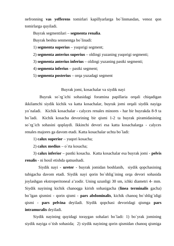 nefronning  vas  yefferens tomirlari  kapillyarlarga  bo`linmasdan,  venoz  qon
tomirlarga quyiladi. 
Buyrak segmentilari – segmenta renalia.
Buyrak beshta senmentga bo`linadi: 
1) segmenta superius – yuqorigi segment; 
2) segmenta anterius superius – oldingi yuzaning yuqorigi segmenti; 
3) segmenta anterius inferius – oldingi yuzaning pastki segmenti; 
4) segmenta inferius – pastki segment;  
5) segmenta posterius – orqa yuzadagi segment
Buyrak jomi, kosachalar va siydik nayi
  Buyrak  so`rg`ichi  sohasidagi  foramina  papillaria  orqali  chiqadigan
ikkilamchi siydik kichik va katta kosachalar, buyrak jomi orqali siydik nayiga
yo`naladi.   Kichik kosachalar - calyces renales minores - har bir buyrakda 8-9 ta
bo`ladi.   Kichik  kosacha  devorining  bir  qismi  1-2  ta  buyrak  piramidasining
so`rg`ich  sohasini  qoplaydi.  Ikkinchi  devori  esa  katta  kosachalarga  -  calyces
renales majores ga davom etadi. Katta kosachalar uchta bo`ladi: 
1) calux superior – yuqori kosacha;  
2) calux medius – o`rta kosacha; 
3) calux inferior – pastki kosacha.  Katta kosachalar esa buyrak jomi - pelvis
renalis - ni hosil etishda qatnashadi. 
   Siydik nayi -  ureter - buyrak jomidan boshlanib,  siydik qopchasining
tubigacha davom etadi. Siydik nayi qorin bo`shlig`ining orqa devori sohasida
joylashgan ekstroperitoneal a’zodir. Uning uzunligi 30 sm, ichki diametri 4- mm.
Siydik  nayining  kichik  chanoqga  kirish  sohasigacha  (linea  terminalis gacha)
bo`lgan qismini - qorin qismi -  pars abdominalis, kichik chanoq bo`shlig`idigi
qismi  -  pars  pelvina deyiladi.  Siydik  qopchasi  devoridagi  qismga  pars
intramuralis deyiladi. 
Siydik nayining quyidagi  toraygan  sohalari  bo`ladi:  1)  bo`yrak jomining
siydik nayiga o`tish sohasida;  2) siydik nayining qorin qismidan chanoq qismiga
