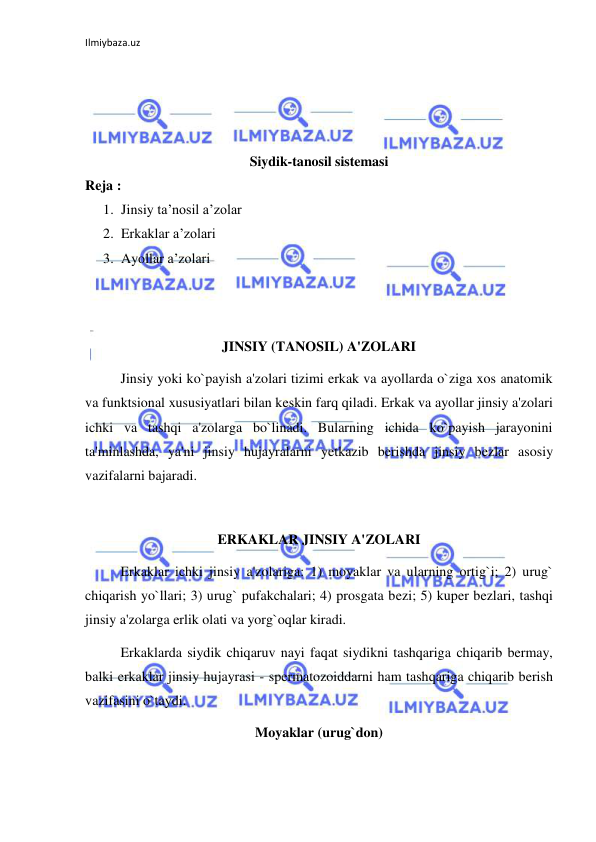 Ilmiybaza.uz 
 
 
 
 
 
Siydik-tanosil sistemasi 
Reja : 
1. Jinsiy ta’nosil a’zolar 
2. Erkaklar a’zolari 
3. Ayollar a’zolari 
 
 
JINSIY (TANOSIL) A'ZOLARI 
 
Jinsiy yoki ko`payish a'zolari tizimi erkak va ayollarda o`ziga xos anatomik 
va funktsional xususiyatlari bilan keskin farq qiladi. Erkak va ayollar jinsiy a'zolari 
ichki va tashqi a'zolarga bo`linadi. Bularning ichida ko`payish jarayonini 
ta'minlashda, ya'ni jinsiy hujayralarni yetkazib berishda jinsiy bezlar asosiy 
vazifalarni bajaradi. 
 
ERKAKLAR JINSIY A'ZOLARI 
 
Erkaklar ichki jinsiy a'zolariga: 1) moyaklar va ularning ortig`i; 2) urug` 
chiqarish yo`llari; 3) urug` pufakchalari; 4) prosgata bezi; 5) kuper bezlari, tashqi 
jinsiy a'zolarga erlik olati va yorg`oqlar kiradi.  
 
Erkaklarda siydik chiqaruv nayi faqat siydikni tashqariga chiqarib bermay, 
balki erkaklar jinsiy hujayrasi - spermatozoiddarni ham tashqariga chiqarib berish 
vazifasini o`taydi. 
Moyaklar (urug`don) 
