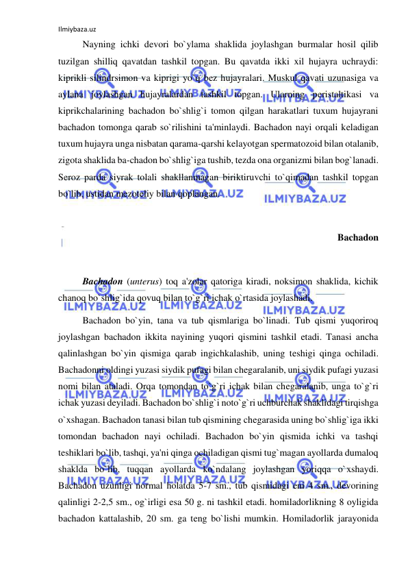 Ilmiybaza.uz 
 
 
Nayning ichki devori bo`ylama shaklida joylashgan burmalar hosil qilib 
tuzilgan shilliq qavatdan tashkil topgan. Bu qavatda ikki xil hujayra uchraydi: 
kiprikli silindrsimon va kiprigi yo`q bez hujayralari. Muskul qavati uzunasiga va 
aylana joylashgan hujayralardan tashkil topgan. Ularning peristaltikasi va 
kiprikchalarining bachadon bo`shlig`i tomon qilgan harakatlari tuxum hujayrani 
bachadon tomonga qarab so`rilishini ta'minlaydi. Bachadon nayi orqali keladigan 
tuxum hujayra unga nisbatan qarama-qarshi kelayotgan spermatozoid bilan otalanib, 
zigota shaklida ba-chadon bo`shlig`iga tushib, tezda ona organizmi bilan bog`lanadi. 
Seroz parda siyrak tolali shakllanmagan biriktiruvchi to`qimadan tashkil topgan 
bo`lib, ustidan mezoteliy bilan qoplangan. 
 
Bachadon 
 
 
Bachadon (unterus) toq a'zolar qatoriga kiradi, noksimon shaklida, kichik 
chanoq bo`shlig`ida qovuq bilan to`g`ri ichak o`rtasida joylashadi.  
 
Bachadon bo`yin, tana va tub qismlariga bo`linadi. Tub qismi yuqoriroq 
joylashgan bachadon ikkita nayining yuqori qismini tashkil etadi. Tanasi ancha 
qalinlashgan bo`yin qismiga qarab ingichkalashib, uning teshigi qinga ochiladi. 
Bachadonni oldingi yuzasi siydik pufagi bilan chegaralanib, uni siydik pufagi yuzasi 
nomi bilan ataladi. Orqa tomondan to`g`ri ichak bilan chegaralanib, unga to`g`ri 
ichak yuzasi deyiladi. Bachadon bo`shlig`i noto`g`ri uchburchak shaklidagi tirqishga 
o`xshagan. Bachadon tanasi bilan tub qismining chegarasida uning bo`shlig`iga ikki 
tomondan bachadon nayi ochiladi. Bachadon bo`yin qismida ichki va tashqi 
teshiklari bo`lib, tashqi, ya'ni qinga ochiladigan qismi tug`magan ayollarda dumaloq 
shaklda bo`lib, tuqqan ayollarda ko`ndalang joylashgan yoriqqa o`xshaydi. 
Bachadon uzunligi normal holatda 5-7 sm., tub qismidagi eni 4 sm., devorining 
qalinligi 2-2,5 sm., og`irligi esa 50 g. ni tashkil etadi. homiladorlikning 8 oyligida 
bachadon kattalashib, 20 sm. ga teng bo`lishi mumkin. Homiladorlik jarayonida 
