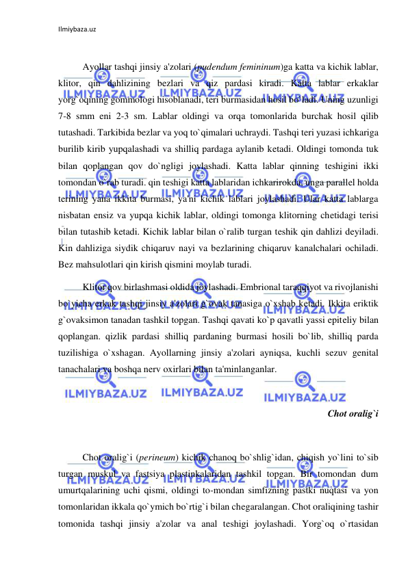 Ilmiybaza.uz 
 
 
 
Ayollar tashqi jinsiy a'zolari (pudendum femininum)ga katta va kichik lablar, 
klitor, qin dahlizining bezlari va qiz pardasi kiradi. Katta lablar erkaklar 
yorg`oqining gommologi hisoblanadi, teri burmasidan hosil bo`ladi. Uning uzunligi 
7-8 smm eni 2-3 sm. Lablar oldingi va orqa tomonlarida burchak hosil qilib 
tutashadi. Tarkibida bezlar va yoq to`qimalari uchraydi. Tashqi teri yuzasi ichkariga 
burilib kirib yupqalashadi va shilliq pardaga aylanib ketadi. Oldingi tomonda tuk 
bilan qoplangan qov do`ngligi joylashadi. Katta lablar qinning teshigini ikki 
tomondan o`rab turadi. qin teshigi katta lablaridan ichkarirokda, unga parallel holda 
terining yana ikkita burmasi, ya'ni kichik lablari joylashadi. Ular katta lablarga 
nisbatan ensiz va yupqa kichik lablar, oldingi tomonga klitorning chetidagi terisi 
bilan tutashib ketadi. Kichik lablar bilan o`ralib turgan teshik qin dahlizi deyiladi. 
Kin dahliziga siydik chiqaruv nayi va bezlarining chiqaruv kanalchalari ochiladi. 
Bez mahsulotlari qin kirish qismini moylab turadi. 
 
Klitor qov birlashmasi oldida joylashadi. Embrional taraqqiyot va rivojlanishi 
bo`yicha erkak tashqi jinsiy a'zolari g`ovak tanasiga o`xshab ketadi. Ikkita eriktik 
g`ovaksimon tanadan tashkil topgan. Tashqi qavati ko`p qavatli yassi epiteliy bilan 
qoplangan. qizlik pardasi shilliq pardaning burmasi hosili bo`lib, shilliq parda 
tuzilishiga o`xshagan. Ayollarning jinsiy a'zolari ayniqsa, kuchli sezuv genital 
tanachalari va boshqa nerv oxirlari bilan ta'minlanganlar. 
 
Chot oralig`i 
 
 
Chot oralig`i (perineum) kichik chanoq bo`shlig`idan, chiqish yo`lini to`sib 
turgan muskul va fastsiya plastinkalaridan tashkil topgan. Bir tomondan dum 
umurtqalarining uchi qismi, oldingi to-mondan simfizning pastki nuqtasi va yon 
tomonlaridan ikkala qo`ymich bo`rtig`i bilan chegaralangan. Chot oraliqining tashir 
tomonida tashqi jinsiy a'zolar va anal teshigi joylashadi. Yorg`oq o`rtasidan 
