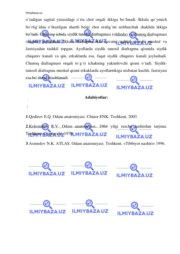 Ilmiybaza.uz 
 
o`tadigan sagital yuzasidagi o`rta chot orqali ikkiga bo`linadi. Ikkala qo`ymich 
bo`rtig`idan o`tkazilgan shartli belgi chot oralig`ini uchburchak shaklida ikkiga 
bo`ladi. Ularning ichida siydik tanosil diafragmasi (oldinda) va chanoq diafragmasi 
(orqada) joylashadi. Ikkala diafragma ikki qavatni tashkil etuvchi muskul va 
fastsiyadan tashkil topgan. Ayollarda siydik tanosil diafragma qismida siydik 
chiqaruv kanali va qin, erkaklarda esa, faqat siydik chiqaruv kanali joylashadi. 
Chanoq diafragmasi orqali to`g`ri ichakning yakunlovchi qismi o`tadi. Siydik-
tanosil diafragma muskul qismi erkaklarda ayollarnikiga nisbatan kuchli, fastsiyasi 
esa bo`shroq hisoblanadi.  
 
Adabiyotlar: 
 
1.Qodirov E.Q. Odam anatomiyasi. Chinor ENK; Toshkent, 2003.  
2.Kolesnikov R.V. Odam anatomiyasi. 1964 yilgi ruscha nashirdan tarjima. 
Toshkent. O‘qituvchi. 1970. 
3.Axmedov N.K. ATLAS. Odam anatomiyasi. Toshkent. «Tibbiyot nashiri» 1996. 
 
