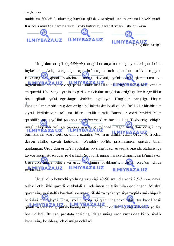 Ilmiybaza.uz 
 
muhit va 30-35°C, ularning harakat qilish xususiyati uchun optimal hisoblanadi. 
Kislotali muhitda kam harakatli yoki butunlay harakatsiz bo`lishi mumkin. 
 
Urug`don ortig`i 
 
 
Urug`don ortig`i (epididynis) urug`don orqa tomoniga yondoshgan holda 
joylashadi. Aniq chegaraga ega bo`lmagan uch qismdan tashkil topgan. 
Boshlang`ich qismi boshchasi, uning davomi, ya'ni o`rta qismi tana va 
ingichkalashib ketgan oxirgi qismi dumini tashkil etadi. Urug`donning to`r qismidan 
chiquvchi 10-12-taga yaqin to`g`ri kanalchalar urug`don ortig`iga kirib egriliklar 
hosil qiladi, ya'ni egri-bugri shaklini egallaydi. Urug`don ortig`iga kirgan 
kanalchalar har biri urug`don ortig`i bo`lakchasini hosil qiladi. Bo`laklar bir-biridan 
siyrak biriktiruvchi to`qima bilan ajralib turadi. Burmalar oxiri bir-biri bilan 
qo`shilib, ortiq yo`lini (diuctus epididymiosis) ni hosil qiladi. Tashqariga chiqib, 
urug` chiqarish yo`liga (ductus deferens) aylanadi. Agar urug`don ortig`i nay 
burmalarini yozib tortilsa, uning uzunligi 4-6 m ni tashkil etadi. Urug` yo`li ichki 
devori shilliq qavati kutikulali (o`siqldi) bo`lib, prizmasimon epiteliy bilan 
qoplangan. Urug`don ortig`i naychalari bo`shlig`idagi suyuqlik orasida otalanishga 
tayyor spermatozoiddar joylashadi. Suyuqlik uning harakatchangligini ta'minlaydi. 
Urug`don uning ortig`i va urug` yo`lining boshlang`ich qismi yorg`oq ichida 
joylashadi. 
 
Urug` olib ketuvchi yo`lning uzunligi 40-50 sm., diametri 2,5-3 mm. nayni 
tashkil etib, ikki qavatli kutikulali silindrsimon epiteliy bilan qoplangan. Muskul 
qavatining peristaltik harakati sperma surilishi va eyakulyatsiya vaqtida uni chiqarib 
berishni ta'minlaydi. Urug` yo`lining oxirgi qismi ingichkalashib, tor kanal hosil 
qiladi va borib urug` pufakchaning urug` yo`li bilan qo`shilib, urug` chiqaruv yo`lini 
hosil qiladi. Bu esa, prostata bezining ichiga uning orqa yuzasidan kirib, siydik 
kanalining boshlang`ich qismiga ochiladi.  
