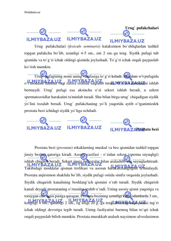 Ilmiybaza.uz 
 
 
 Urug` pufakchalari 
 
 
Urug  pufakchalari (fesicule seminaris) kataksimon bo`shliqlardan tashkil 
topgan pufakcha bo`lib, uzunligi 4-5 sm., eni 2 sm.-ga teng. Siydik pufagi tub 
qismida va to`g`ri ichak oldingi qismida joylashadi. To`g`ri ichak orqali paypaslab 
ko`rish mumkin.  
 
Urug` pufagining nomi uning vazifasiga to`g`ri keladi. Masalan: o`t pufagida 
o`t moddasi hamma vaqt zaxira sifatida saqlanib turadi. O`zi o`t moddasini ishlab 
bermaydi. Urug` pufagi esa aksincha o`zi sekret ishlab beradi, u sekret 
spermatozoidlar harakatini ta'minlab turadi. Shu bilan birga urug` chiqadigan siydik 
yo`lini tozalab beradi. Urug` pufakchaning yo`li yuqorida aytib o`tganimizdek 
prostata bezi ichidagi siydik yo`liga ochiladi.  
 
 
Prostata bezi  
 
 
Prostata bezi (prostata) erkaklarning muskul va bez qismidan tashkil topgan 
jinsiy bezlari qatoriga kiradi. Asosiy vazifasi - o`zidan sekret (sperma suyuqligi) 
ishlab chiqarib beradi. Sekret jinsiy hujayralar bilan aralashib, uni suyuqlashtiradi. 
Takibidagi moddalar qisman trofikasi va asosan harakatchangligini ta'minlaydi. 
Prostata anjirsimon shaklida bo`lib, siydik pufagi ostida simfiz orqasida joylashadi. 
Siydik chiqarish kanalining boshlang`ich qismini o`rab turadi. Siydik chiqarish 
kanali deyarli prostataning o`rtasidan teshib o`tadi. Uning asosiy qismi yuqoriga va 
toraygan cho`qqisi pastga qaragan. Prostata bezining uzunligi katta odamlarda 3 sm., 
kengligi 4 sm., qalinligi 2 sm., og`irligi 20 g.-ga teng. Bezning orqa yuzasi tug`ri 
ichak oldingi devoriga tegib turadi. Uning faoliyatini barmoq bilan to`qri ichak 
orqali paypaslab bilish mumkin. Prostata murakkab aralash naysimon-alveolasimon 
