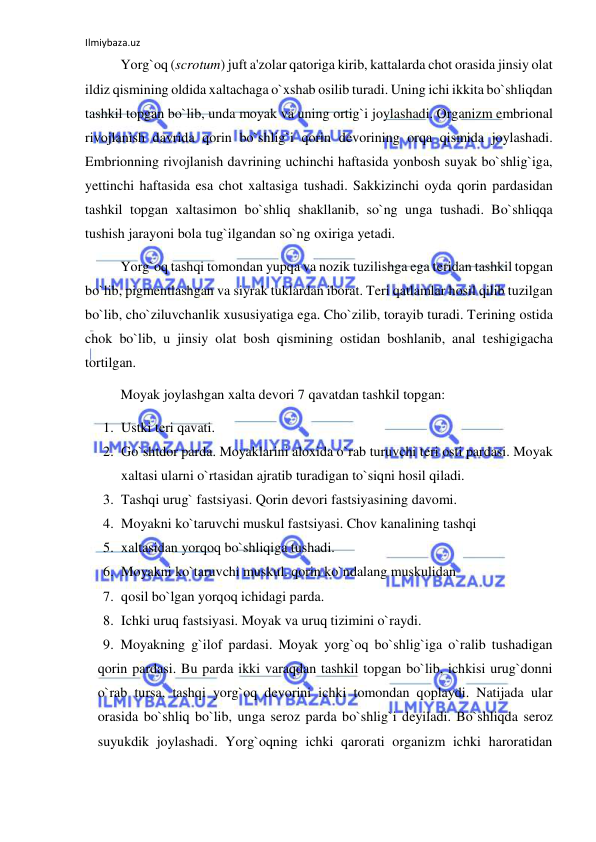 Ilmiybaza.uz 
 
 
Yorg`oq (scrotum) juft a'zolar qatoriga kirib, kattalarda chot orasida jinsiy olat 
ildiz qismining oldida xaltachaga o`xshab osilib turadi. Uning ichi ikkita bo`shliqdan 
tashkil topgan bo`lib, unda moyak va uning ortig`i joylashadi. Organizm embrional 
rivojlanish davrida qorin bo`shlig`i qorin devorining orqa qismida joylashadi. 
Embrionning rivojlanish davrining uchinchi haftasida yonbosh suyak bo`shlig`iga, 
yettinchi haftasida esa chot xaltasiga tushadi. Sakkizinchi oyda qorin pardasidan 
tashkil topgan xaltasimon bo`shliq shakllanib, so`ng unga tushadi. Bo`shliqqa 
tushish jarayoni bola tug`ilgandan so`ng oxiriga yetadi. 
 
Yorg`oq tashqi tomondan yupqa va nozik tuzilishga ega teridan tashkil topgan 
bo`lib, pigmentlashgan va siyrak tuklardan iborat. Teri qatlamlar hosil qilib tuzilgan 
bo`lib, cho`ziluvchanlik xususiyatiga ega. Cho`zilib, torayib turadi. Terining ostida 
chok bo`lib, u jinsiy olat bosh qismining ostidan boshlanib, anal teshigigacha 
tortilgan. 
 
Moyak joylashgan xalta devori 7 qavatdan tashkil topgan: 
1. Ustki teri qavati. 
2. Go`shtdor parda. Moyaklarini aloxida o`rab turuvchi teri osti pardasi. Moyak 
xaltasi ularni o`rtasidan ajratib turadigan to`siqni hosil qiladi. 
3. Tashqi urug` fastsiyasi. Qorin devori fastsiyasining davomi. 
4. Moyakni ko`taruvchi muskul fastsiyasi. Chov kanalining tashqi 
5. xaltasidan yorqoq bo`shliqiga tushadi. 
6. Moyakni ko`taruvchi muskul. qorin ko`ndalang muskulidan 
7. qosil bo`lgan yorqoq ichidagi parda. 
8. Ichki uruq fastsiyasi. Moyak va uruq tizimini o`raydi. 
9. Moyakning g`ilof pardasi. Moyak yorg`oq bo`shlig`iga o`ralib tushadigan 
qorin pardasi. Bu parda ikki varaqdan tashkil topgan bo`lib, ichkisi urug`donni 
o`rab tursa, tashqi yorg`oq devorini ichki tomondan qoplaydi. Natijada ular 
orasida bo`shliq bo`lib, unga seroz parda bo`shlig`i deyiladi. Bo`shliqda seroz 
suyukdik joylashadi. Yorg`oqning ichki qarorati organizm ichki haroratidan 
