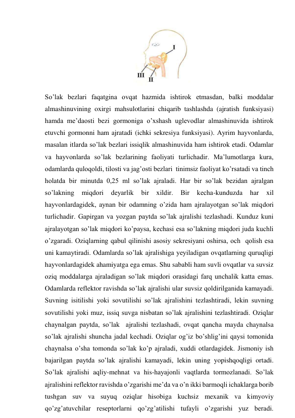  
So’lak bezlari faqatgina ovqat hazmida ishtirok etmasdan, balki moddalar 
almashinuvining oxirgi mahsulotlarini chiqarib tashlashda (ajratish funksiyasi) 
hamda me’daosti bezi gormoniga o’xshash uglevodlar almashinuvida ishtirok 
etuvchi gormonni ham ajratadi (ichki sekresiya funksiyasi). Ayrim hayvonlarda, 
masalan itlarda so’lak bezlari issiqlik almashinuvida ham ishtirok etadi. Odamlar 
va hayvonlarda so’lak bezlarining faoliyati turlichadir. Ma’lumotlarga kura, 
odamlarda quloqoldi, tilosti va jag’osti bezlari  tinimsiz faoliyat ko’rsatadi va tinch 
holatda bir minutda 0,25 ml so’lak ajraladi. Har bir so’lak bezidan ajralgan 
so’lakning 
miqdori 
deyarlik 
bir 
xildir. 
Bir 
kecha-kunduzda 
har 
xil 
hayvonlardagidek, aynan bir odamning o’zida ham ajralayotgan so’lak miqdori 
turlichadir. Gapirgan va yozgan paytda so’lak ajralishi tezlashadi. Kunduz kuni 
ajralayotgan so’lak miqdori ko’paysa, kechasi esa so’lakning miqdori juda kuchli 
o’zgaradi. Oziqlarning qabul qilinishi asosiy sekresiyani oshirsa, och  qolish esa 
uni kamaytiradi. Odamlarda so’lak ajralishiga yeyiladigan ovqatlarning quruqligi 
hayvonlardagidek ahamiyatga ega emas. Shu sababli ham suvli ovqatlar va suvsiz 
oziq moddalarga ajraladigan so’lak miqdori orasidagi farq unchalik katta emas. 
Odamlarda reflektor ravishda so’lak ajralishi ular suvsiz qoldirilganida kamayadi. 
Suvning isitilishi yoki sovutilishi so’lak ajralishini tezlashtiradi, lekin suvning 
sovutilishi yoki muz, issiq suvga nisbatan so’lak ajralishini tezlashtiradi. Oziqlar 
chaynalgan paytda, so’lak  ajralishi tezlashadi, ovqat qancha mayda chaynalsa 
so’lak ajralishi shuncha jadal kechadi. Oziqlar og’iz bo’shlig’ini qaysi tomonida 
chaynalsa o’sha tomonda so’lak ko’p ajraladi, xuddi otlardagidek. Jismoniy ish 
bajarilgan paytda so’lak ajralishi kamayadi, lekin uning yopishqoqligi ortadi. 
So’lak ajralishi aqliy-mehnat va his-hayajonli vaqtlarda tormozlanadi. So’lak 
ajralishini reflektor ravishda o’zgarishi me’da va o’n ikki barmoqli ichaklarga borib 
tushgan suv va suyuq oziqlar hisobiga kuchsiz mexanik va kimyoviy 
qo’zg’atuvchilar reseptorlarni qo’zg’atilishi tufayli o’zgarishi yuz beradi. 
