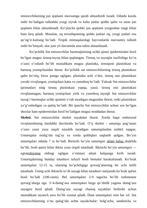 emizuvchilarning jun qoplami mavsumga qarab almashinib turadi. Odatda kuzda
sodir bo’Iadigan tullashda yozgi siyrak va kalta junlar qishki qalin va uzun jun
qoplami bilan almashinadi. Ko’pincha qishki jun qoplami yozgisidan rangi bilan
ham farq qiladi. Masalan, oq tovushqonning qishki junlari oq, yozgi junlari esa
qo’ng’ir-kulrang bo’ladi. Tropik mintaqalardagi hayvonlarda mavsumiy tullash
sodir bo’lmaydi; ular juni yil davomida asta-sekin almashinadi.
Ko’pchilik Sut emizuvchilar barmoqlarining uchki qismi epidermisdan hosil
bo’lgan muguz tirnoq-tuyoq bilan qoplangan. Tirnoq va tuyoqlar tuzilishiga ko’ra
o’zaro  o’xshash  bo’lib  mustahkam  muguz  plastinka,  tirnoqosti  plastinkasi  va
barmoq yostiqchasidan iborat. Ko’pchilik sut emizuvchilarning tirnoq plastinkasi
qalin bo’rtiq, biroz pastga egilgan; plastinka uchi o’tkir, tirnoq osti plastinkasi
yaxshi rivojlangan, yostiqchasi katta va yumshoq bo’ladi. Yuksak Sut emizuvchilar
(primatlar)  ning  tirnoq  plastinkasi  yupqa,  yassi;  tirnoq  osti  plastinkasi
rivojlanmagan, barmoq yostiqchasi yirik va yumshoq tuyoqli Sut emizuvchilar
tuyog’i barmoqlar uchki qismini o’rab turadigan muguzdan iborat; ostki plastinkasi
yo’g’onlashgan va qattiq bo’ladi. Bir qancha Sut emizuvchilar uchun xos bo’lgan
shoxlar ham epidermisdan hosil bo’ladigan muguz moddadan iborat.
Skeleti. Sut  emizuvchilar  skeleti  suyakdan  iborat.  Xorda  faqat  embrional
rivojlanishining  dastlabki  davrlarida  bo’ladi.  O’q  skeleti  -  umurtqa  pog’onasi
o’zaro  yassi  yuza  orqali  tutashib  turadigan  umurtqalardan  tashkil  topgan.
Umurtqalar  oralig’ida  tog’ay  va  xorda  qoldiqlari  saqlanib  qolgan.  Bo’yin
umurtqalari odatda 7 ta bo’ladi. Birinchi bo’yin umurtqasi  atlant halqa  shaklida
bo’lib, bosh qutisi bilan ikkita yuza orqali tutashadi. Ikkinchi bo’yin umurtqasi —
egistrofeyning  oldingi  egilgan  o’simtasi  atlant  halqasiga  kirib  turadi.
Umurtqalarning bunday tutashuvi  tufayli bosh bemalol  harakatlanadi. Ko’krak
umurtqalari  12-15  ta,  ularning  ko’pchiligiga  qovurg’alarning  bir  uchi  kelib
tutashadi. Uning uchi ikkinchi to’sh suyagi bilan tutashuvi natijasida ko’krak qafasi
hosil  bo’ladi  (106-rasm).  Bel  umurtqalari  2-9  tagacha  bo’lib  rudimentar
qovurg’alarga ega. 3~4-dumg’aza umurtqalari birga qo’shilib yagona dumg’aza
suyagini  hosil  qiladi.  Dumg’aza  suyagi  chanoq  suyaklari  birikishi  uchun
mustahkam tayanch asos bo’lib xizmat qiladi. Dum umurtqalari soni har xil. Sut
emizuvchilarning  o’rta  qulog’ida  uchta  suyakchalar:  bolg’acha,  sandoncha  va
