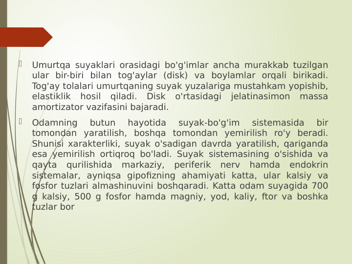
Umurtqa suyaklari orasidagi bo'g'imlar ancha murakkab tuzilgan 
ular bir-biri bilan tog'aylar (disk) va boylamlar orqali birikadi. 
Tog'ay tolalari umurtqaning suyak yuzalariga mustahkam yopishib, 
elastiklik hosil qiladi. Disk o'rtasidagi jelatinasimon massa 
amortizator vazifasini bajaradi. 

Odamning 
butun 
hayotida 
suyak-bo'g'im 
sistemasida 
bir 
tomondan yaratilish, boshqa tomondan yemirilish ro'y beradi. 
Shunisi xarakterliki, suyak o'sadigan davrda yaratilish, qariganda 
esa yemirilish ortiqroq bo'ladi. Suyak sistemasining o'sishida va 
qayta qurilishida markaziy, periferik nerv hamda endokrin 
sistemalar, ayniqsa gipofizning ahamiyati katta, ular kalsiy va 
fosfor tuzlari almashinuvini boshqaradi. Katta odam suyagida 700 
g kalsiy, 500 g fosfor hamda magniy, yod, kaliy, ftor va boshka 
tuzlar bor
