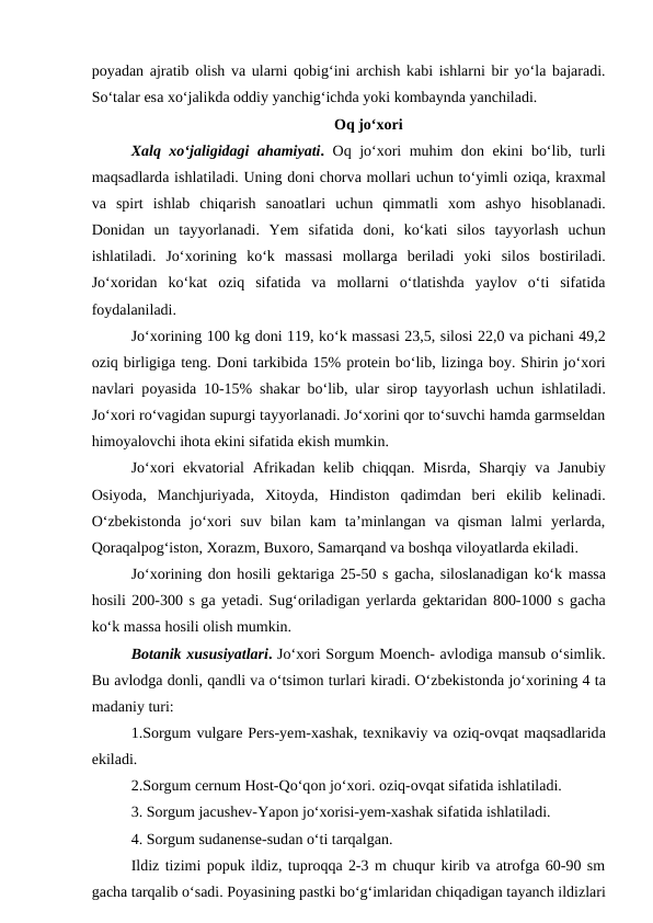 poyadan ajratib olish va ularni qobig‘ini archish kabi ishlarni bir yo‘la bajaradi.
So‘talar esa xo‘jalikda oddiy yanchig‘ichda yoki kombaynda yanchiladi.
Oq jo‘xori
Xalq xo‘jaligidagi ahamiyati. Oq jo‘xori muhim don ekini bo‘lib, turli
maqsadlarda ishlatiladi. Uning doni chorva mollari uchun to‘yimli oziqa, kraxmal
va spirt  ishlab  chiqarish  sanoatlari  uchun  qimmatli  xom  ashyo  hisoblanadi.
Donidan  un  tayyorlanadi.  Yem  sifatida doni,  ko‘kati  silos  tayyorlash  uchun
ishlatiladi.  Jo‘xorining  ko‘k  massasi  mollarga beriladi  yoki  silos  bostiriladi.
Jo‘xoridan  ko‘kat  oziq  sifatida  va  mollarni  o‘tlatishda  yaylov  o‘ti  sifatida
foydalaniladi.
Jo‘xorining 100 kg doni 119, ko‘k massasi 23,5, silosi 22,0 va pichani 49,2
oziq birligiga teng. Doni tarkibida 15% protein bo‘lib, lizinga boy. Shirin jo‘xori
navlari poyasida 10-15% shakar bo‘lib, ular sirop tayyorlash uchun ishlatiladi.
Jo‘xori ro‘vagidan supurgi tayyorlanadi. Jo‘xorini qor to‘suvchi hamda garmseldan
himoyalovchi ihota ekini sifatida ekish mumkin.
Jo‘xori  ekvatorial  Afrikadan kelib chiqqan. Misrda, Sharqiy va Janubiy
Osiyoda,  Manchjuriyada,  Xitoyda,  Hindiston  qadimdan  beri  ekilib  kelinadi.
O‘zbekistonda  jo‘xori  suv  bilan  kam  ta’minlangan  va  qisman  lalmi  yerlarda,
Qoraqalpog‘iston, Xorazm, Buxoro, Samarqand va boshqa viloyatlarda ekiladi. 
Jo‘xorining don hosili gektariga 25-50 s gacha, siloslanadigan ko‘k massa
hosili 200-300 s ga yetadi. Sug‘oriladigan yerlarda gektaridan 800-1000 s gacha
ko‘k massa hosili olish mumkin.
Botanik xususiyatlari. Jo‘xori Sorgum Moench- avlodiga mansub o‘simlik.
Bu avlodga donli, qandli va o‘tsimon turlari kiradi. O‘zbekistonda jo‘xorining 4 ta
madaniy turi: 
1.Sorgum vulgare Pers-yem-xashak, texnikaviy va oziq-ovqat maqsadlarida
ekiladi.
2.Sorgum cernum Host-Qo‘qon jo‘xori. oziq-ovqat sifatida ishlatiladi.
3. Sorgum jacushev-Yapon jo‘xorisi-yem-xashak sifatida ishlatiladi.
4. Sorgum sudanense-sudan o‘ti tarqalgan.
Ildiz tizimi popuk ildiz, tuproqqa 2-3 m chuqur kirib va atrofga 60-90 sm
gacha tarqalib o‘sadi. Poyasining pastki bo‘g‘imlaridan chiqadigan tayanch ildizlari
