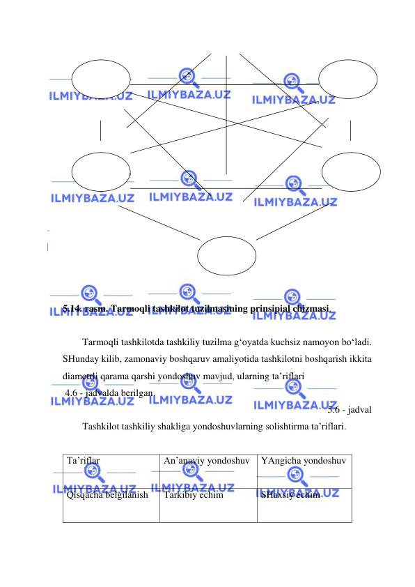  
 
 
 
 
 
 
 
 
 
 
 
 
 
 
 
 
5.14. rasm. Tarmoqli tashkilot tuzilmasining prinsipial chizmasi. 
 
Tarmoqli tashkilotda tashkiliy tuzilma g‘oyatda kuchsiz namoyon bo‘ladi. 
SHunday kilib, zamonaviy boshqaruv amaliyotida tashkilotni boshqarish ikkita 
diametrli qarama qarshi yondoshuv mavjud, ularning ta’riflari  
 4.6 - jadvalda berilgan. 
5.6 - jadval 
Tashkilot tashkiliy shakliga yondoshuvlarning solishtirma ta’riflari. 
 
Ta’riflar  
An’anaviy yondoshuv  YAngicha yondoshuv 
 
Qisqacha belgilanish  
Tarkibiy echim 
SHaxsiy echim 
 
