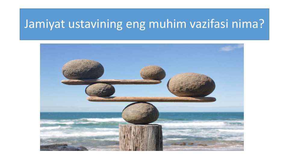 Jamiyat ustavining eng muhim vazifasi nima?
