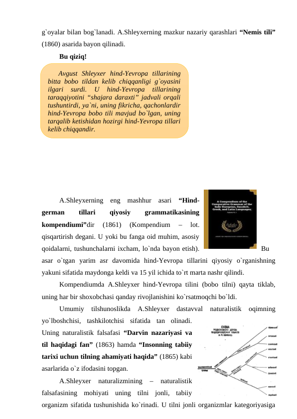 g`oyalar bilan bog`lanadi. A.Shleyxerning mazkur nazariy qarashlari “Nemis tili”
(1860) asarida bayon qilinadi. 
Bu qiziq!
A.Shleyxerning  eng  mashhur  asari  “Hind-
german
 
tillari
 
qiyosiy
 
grammatikasining
kompendiumi”dir  (1861)  (Kompendium 
– 
lot.
qisqartirish degani. U yoki bu fanga oid muhim, asosiy
qoidalarni, tushunchalarni ixcham, lo`nda bayon etish).
Bu
asar  o`tgan  yarim  asr  davomida  hind-Yevropa  tillarini  qiyosiy  o`rganishning
yakuni sifatida maydonga keldi va 15 yil ichida to`rt marta nashr qilindi.
Kompendiumda A.Shleyxer hind-Yevropa tilini (bobo tilni) qayta tiklab,
uning har bir shoxobchasi qanday rivojlanishini ko`rsatmoqchi bo`ldi.
Umumiy  tilshunoslikda  A.Shleyxer  dastavval  naturalistik  oqimning
yo`lboshchisi,  tashkilotchisi  sifatida  tan  olinadi.
Uning naturalistik falsafasi  “Darvin nazariyasi va
til haqidagi fan” (1863) hamda  “Insonning tabiiy
tarixi uchun tilning ahamiyati haqida” (1865) kabi
asarlarida o`z ifodasini topgan. 
A.Shleyxer  naturalizmining  –  naturalistik
falsafasining  mohiyati  uning  tilni  jonli,  tabiiy
organizm sifatida tushunishida ko`rinadi. U tilni jonli organizmlar kategoriyasiga
Avgust  Shleyxer  hind-Yevropa  tillarining
bitta bobo tildan kelib chiqqanligi g`oyasini
ilgari  surdi.  U  hind-Yevropa  tillarining
taraqqiyotini “shajara daraxti” jadvali orqali
tushuntirdi, ya`ni, uning fikricha, qachonlardir
hind-Yevropa bobo tili mavjud bo`lgan, uning
tarqalib ketishidan hozirgi hind-Yevropa tillari
kelib chiqqandir.
